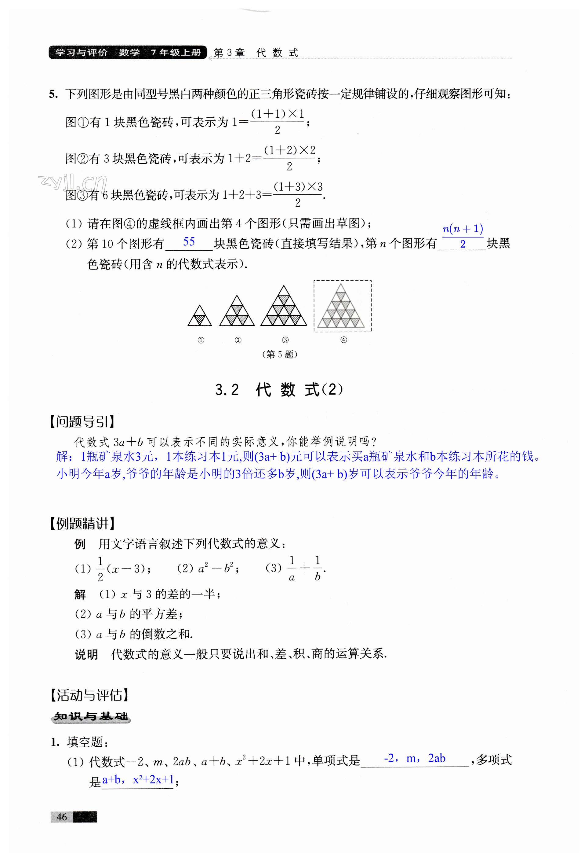 第46页