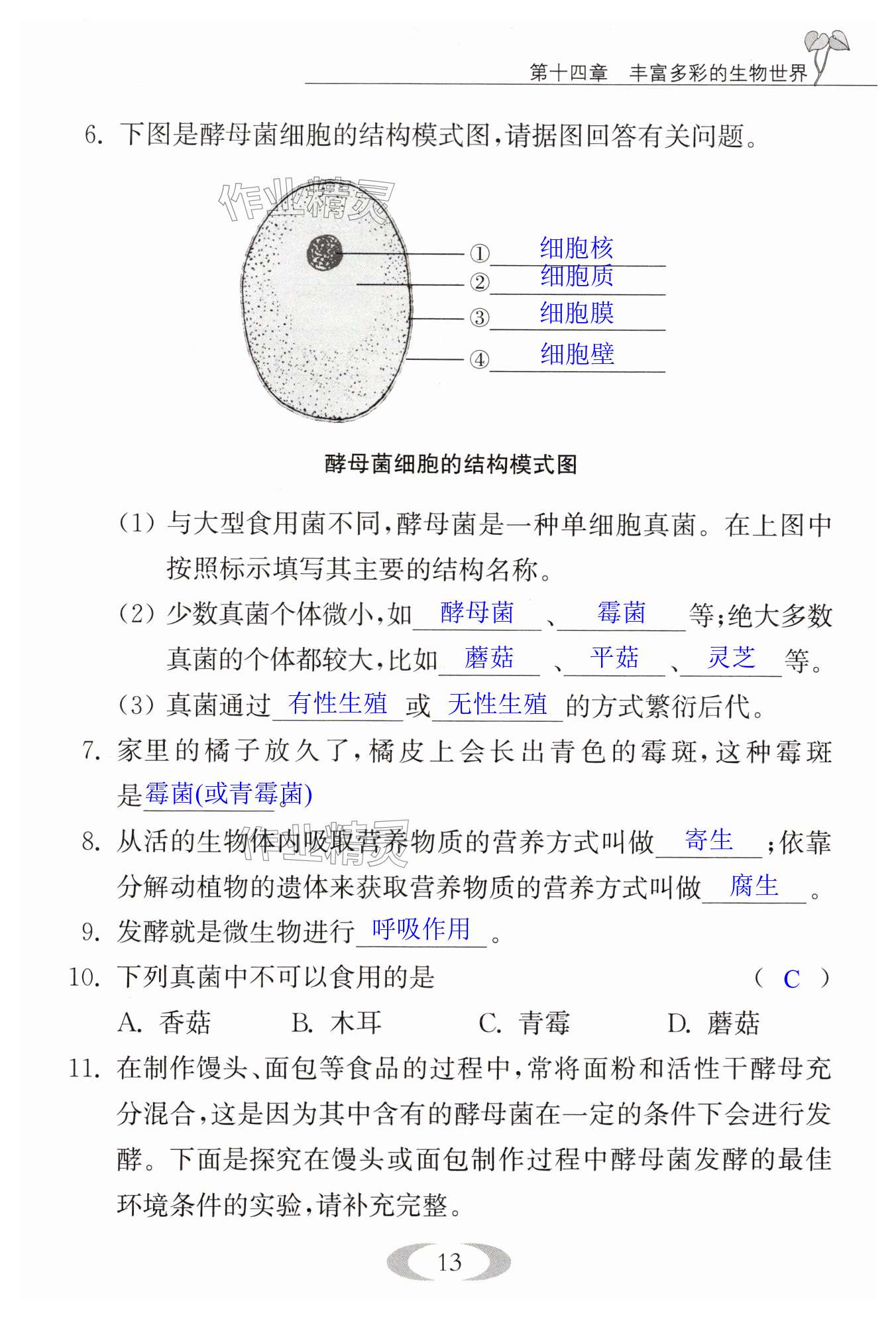 第13页