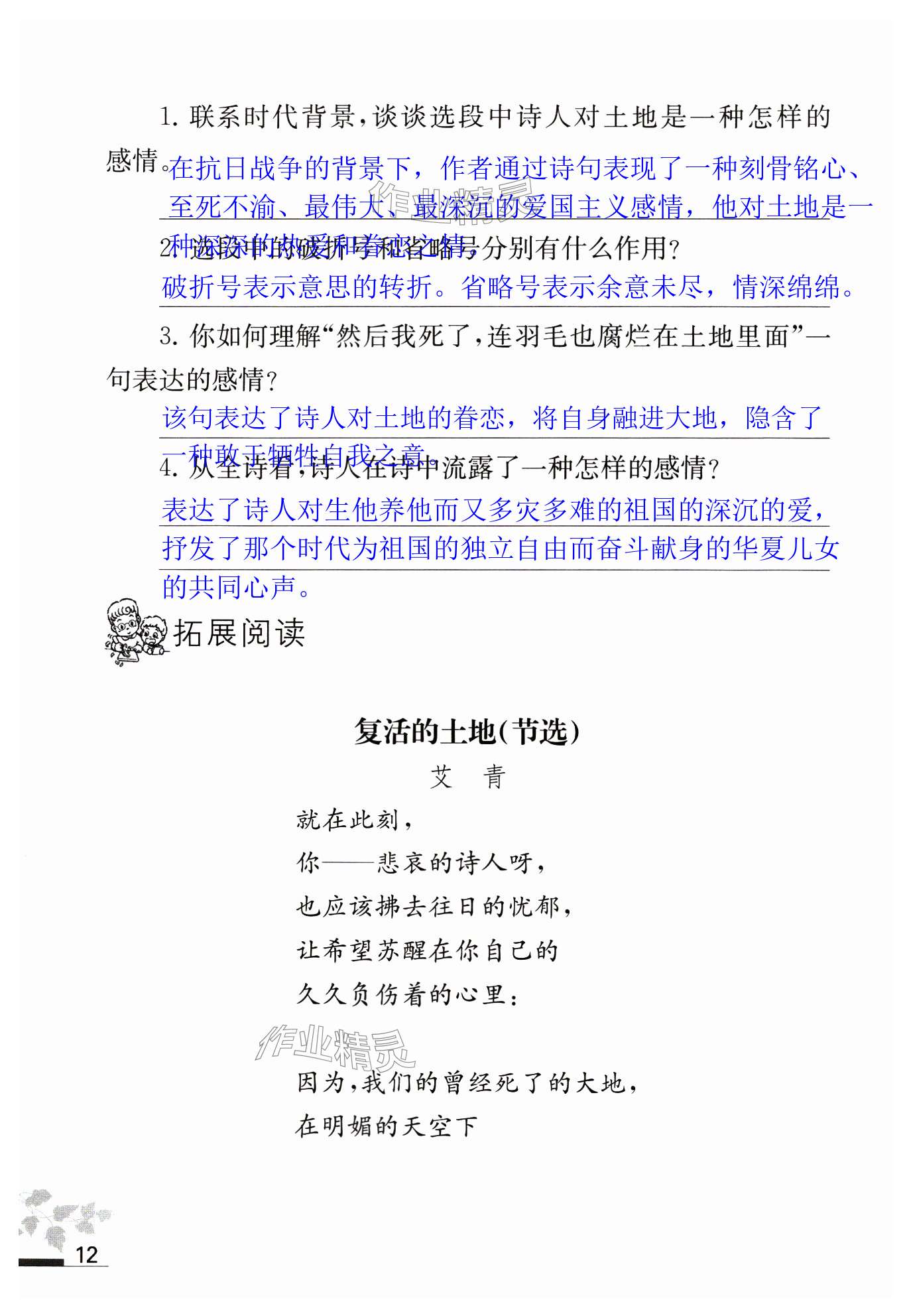 第12页