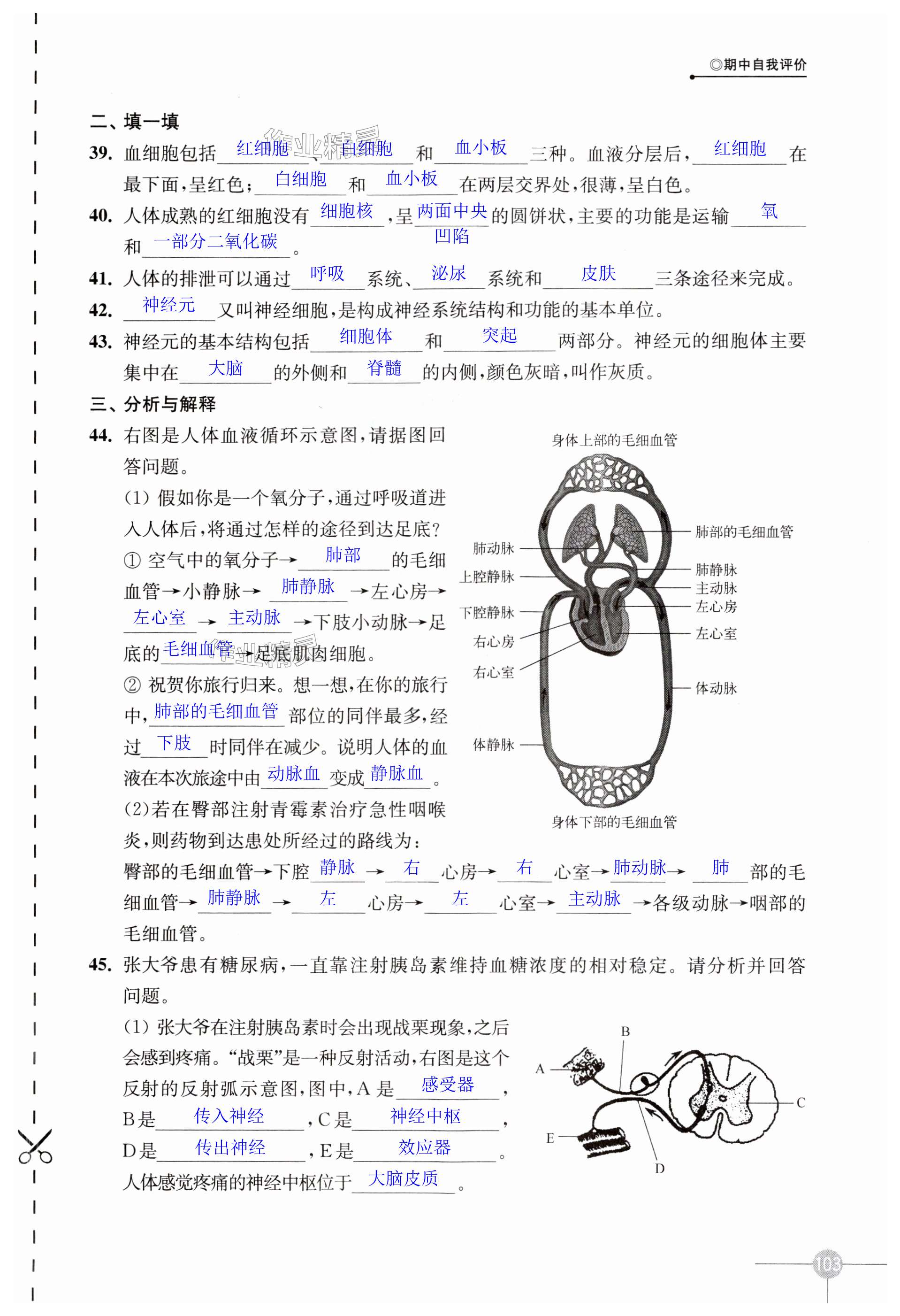 第103页