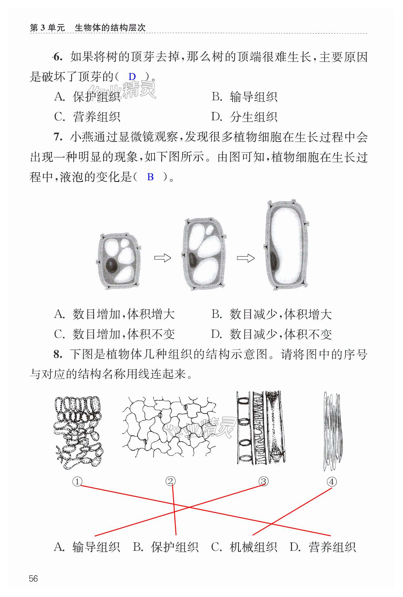 第56页