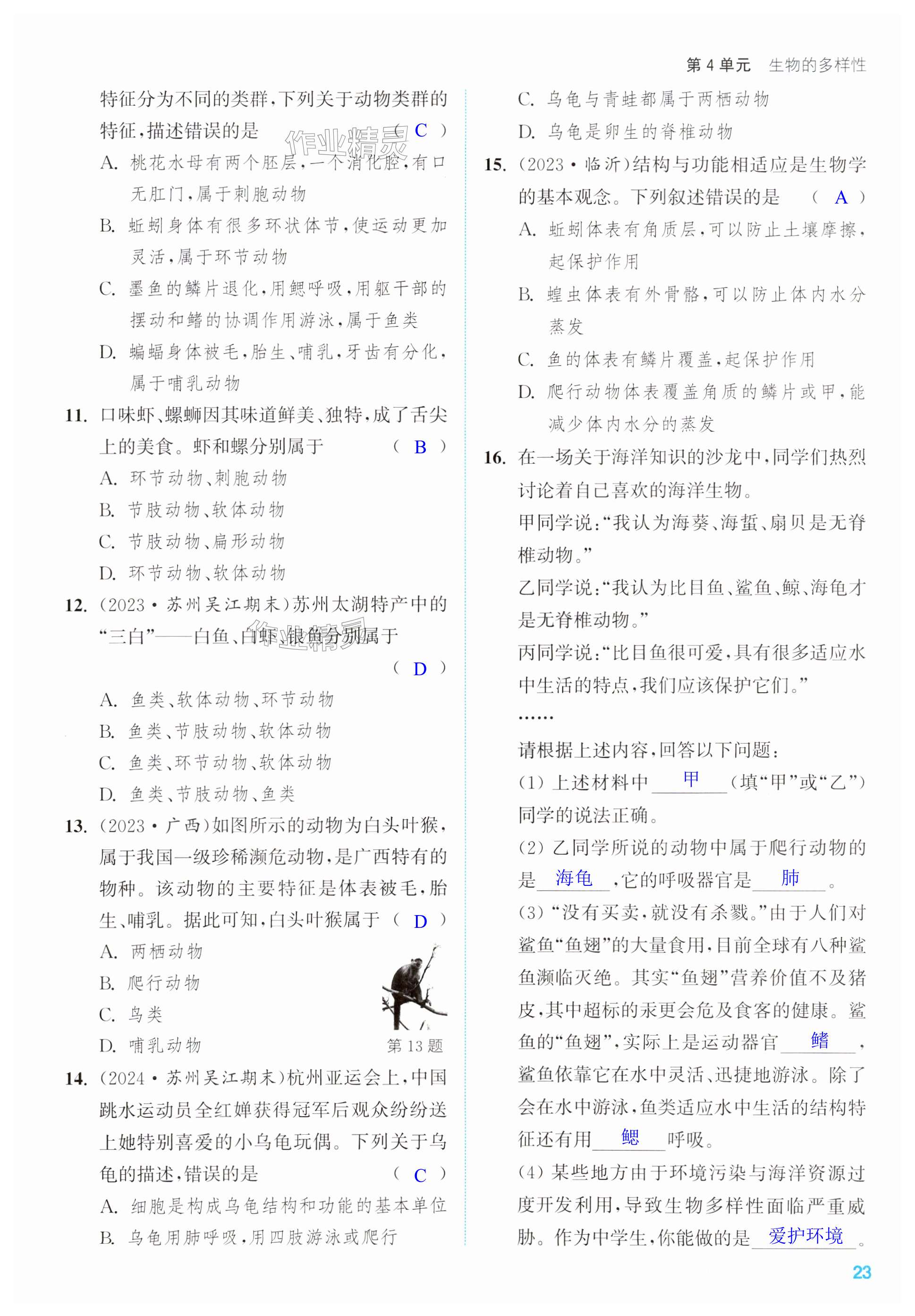 第23页