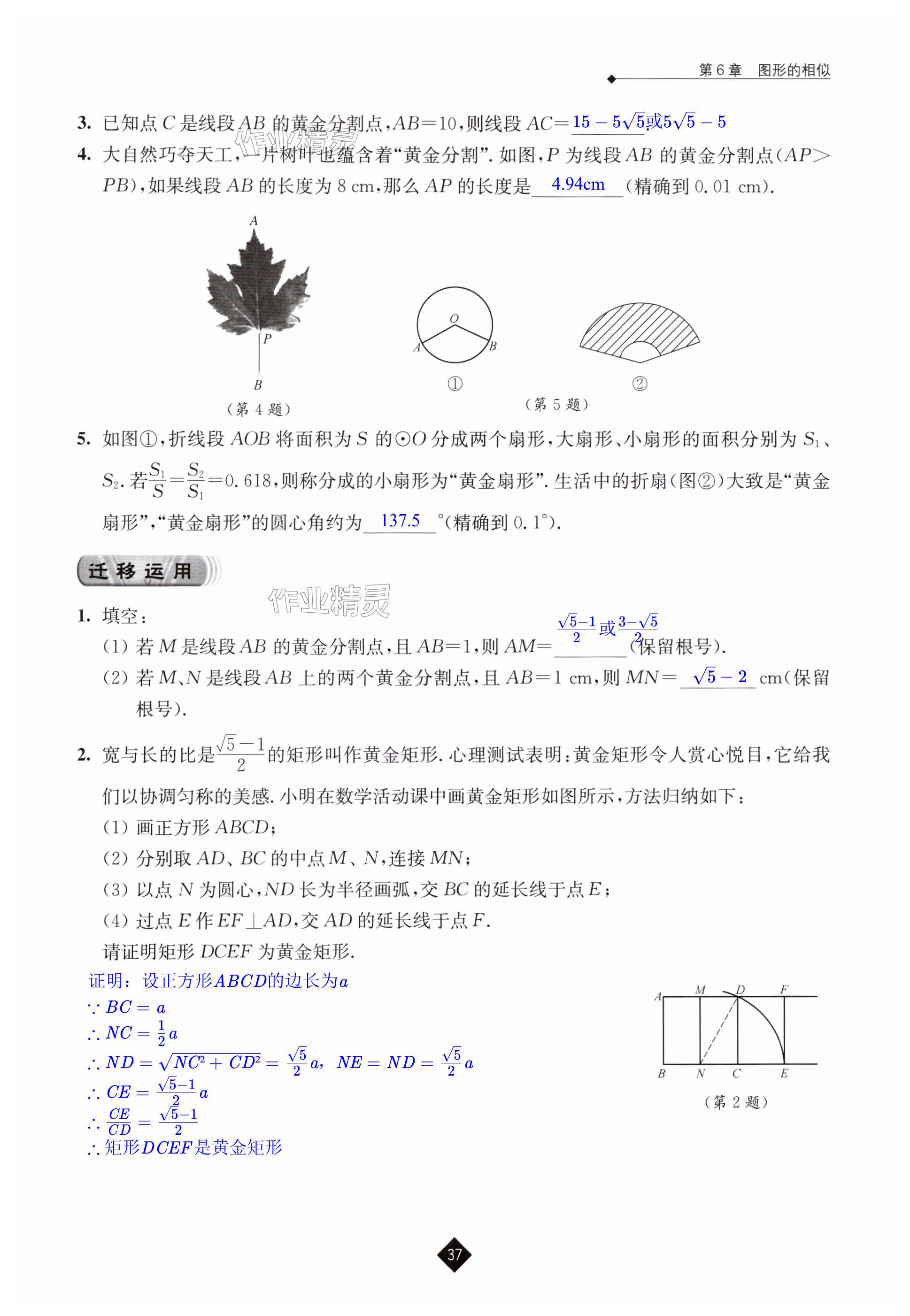 第37页