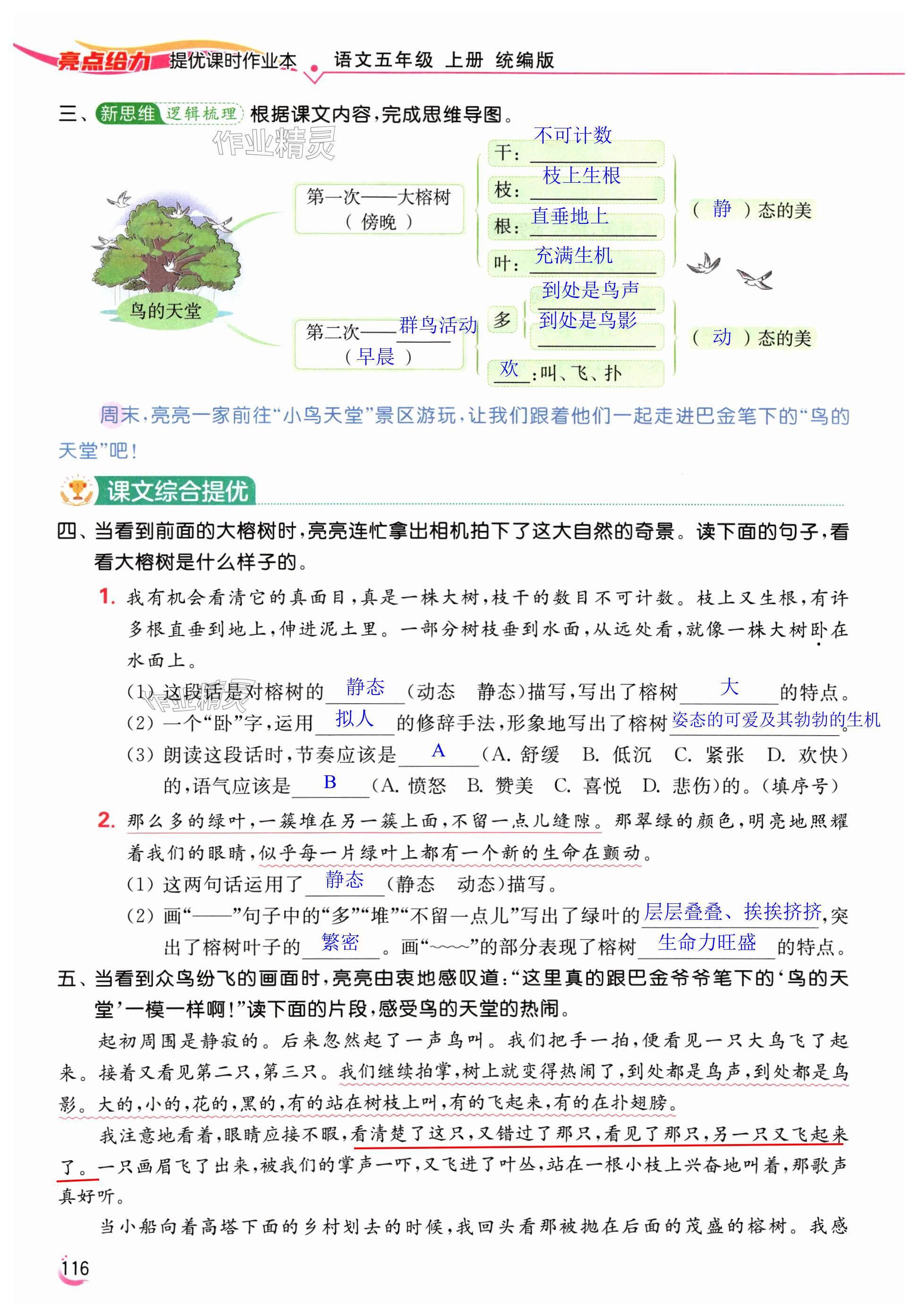 第116页