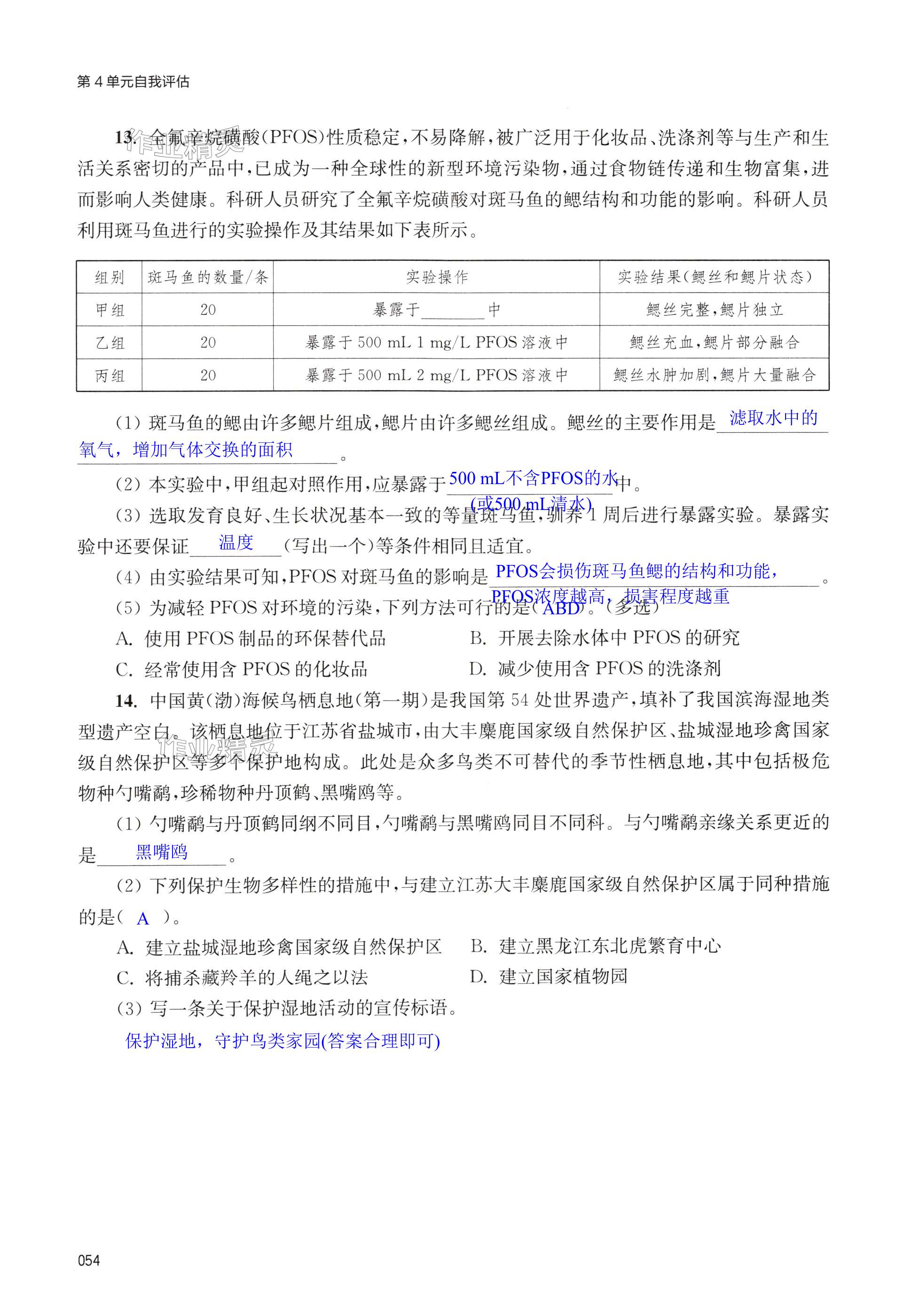 第54页