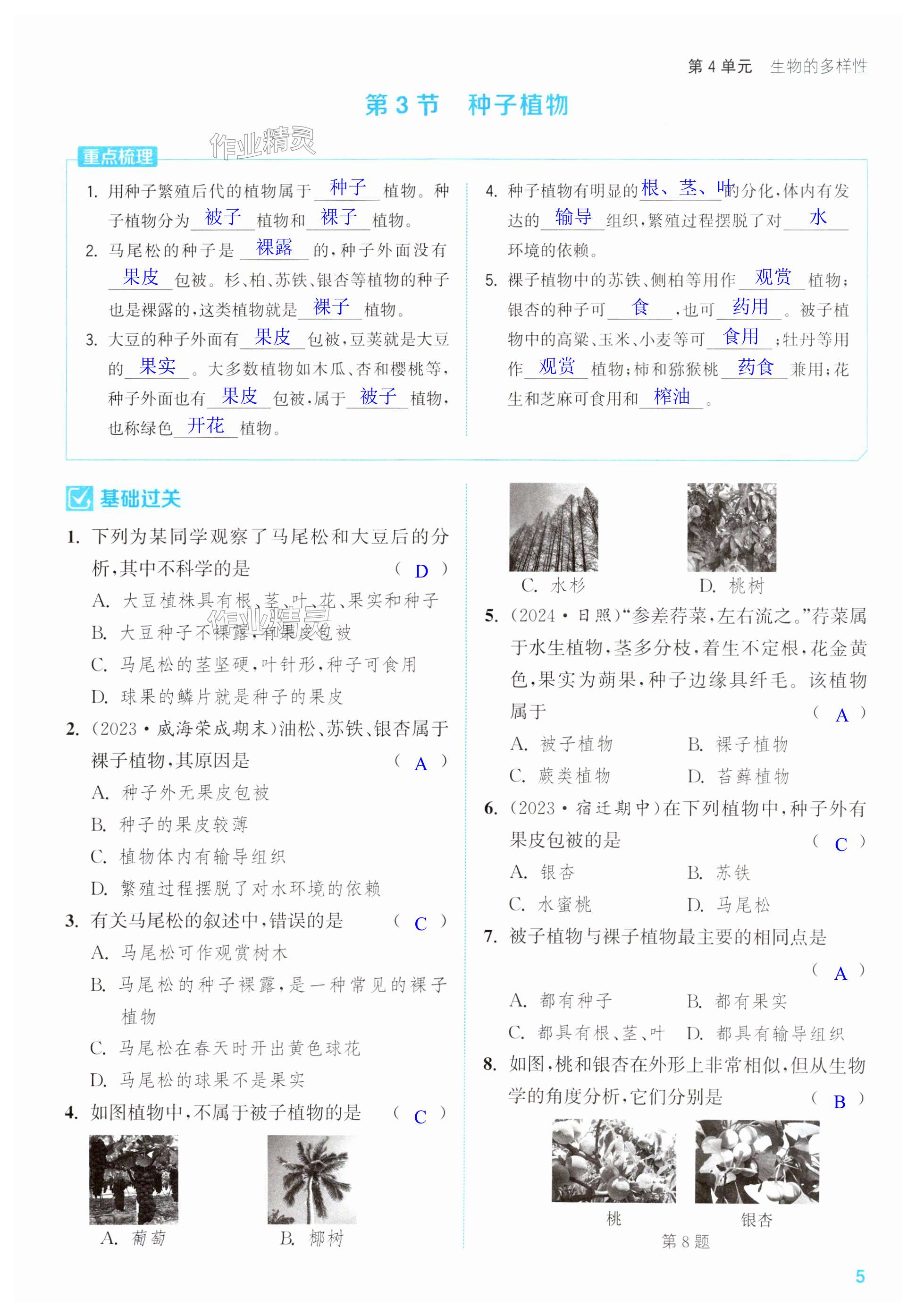 第5页