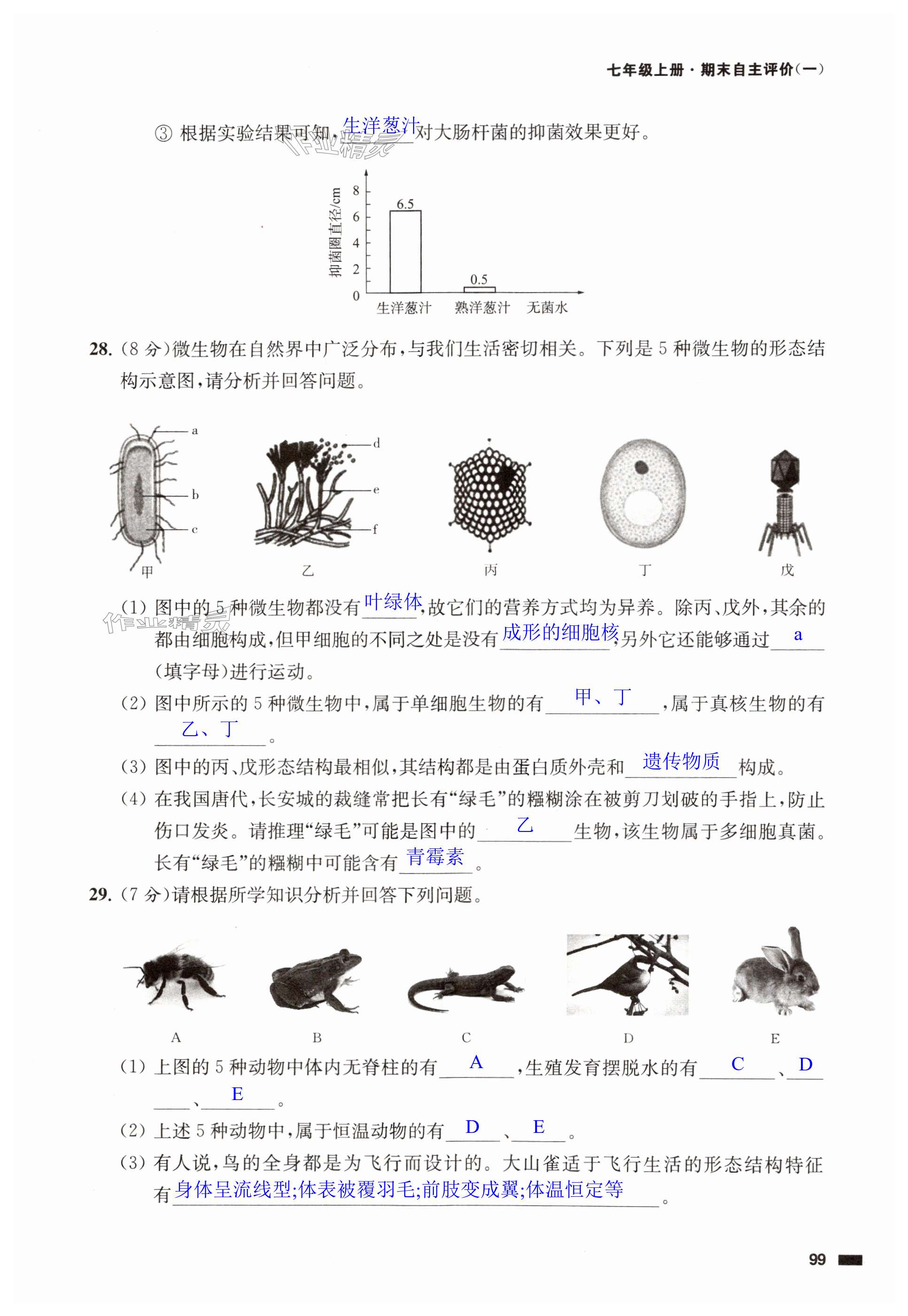 第99页