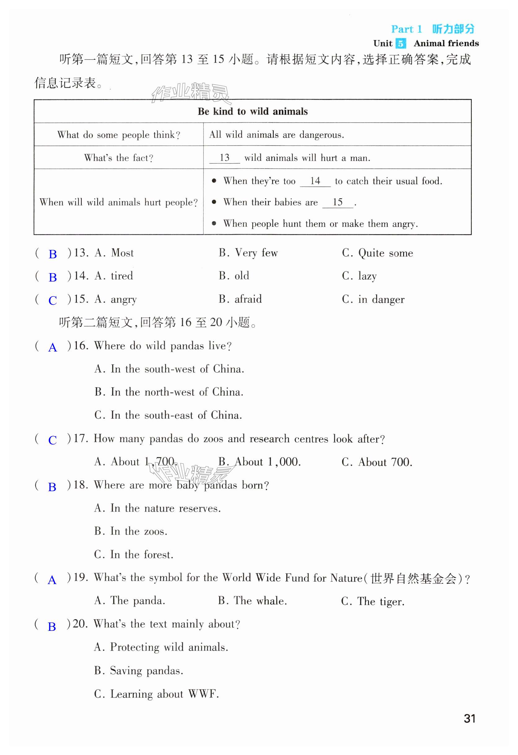 第31页