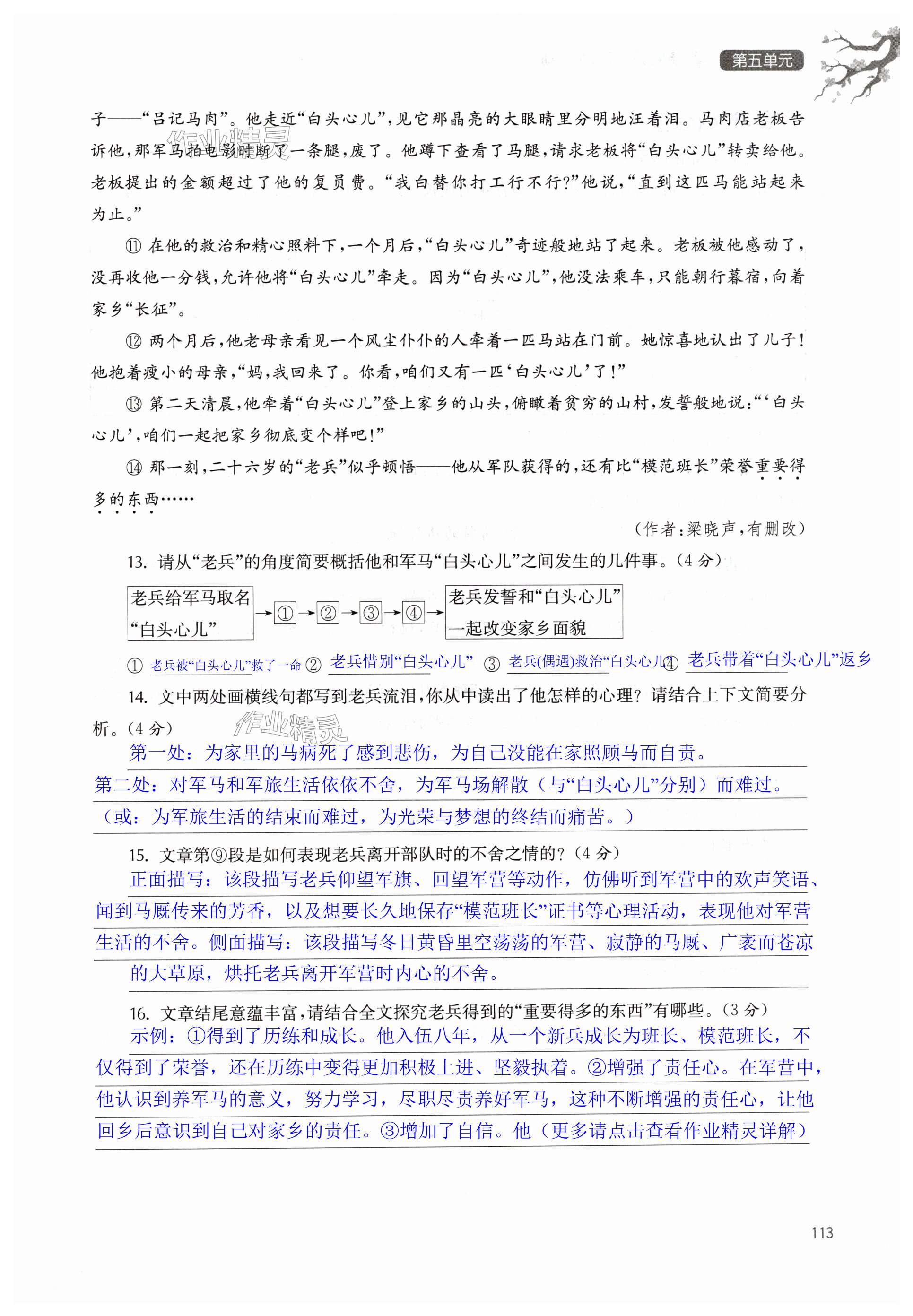第113页