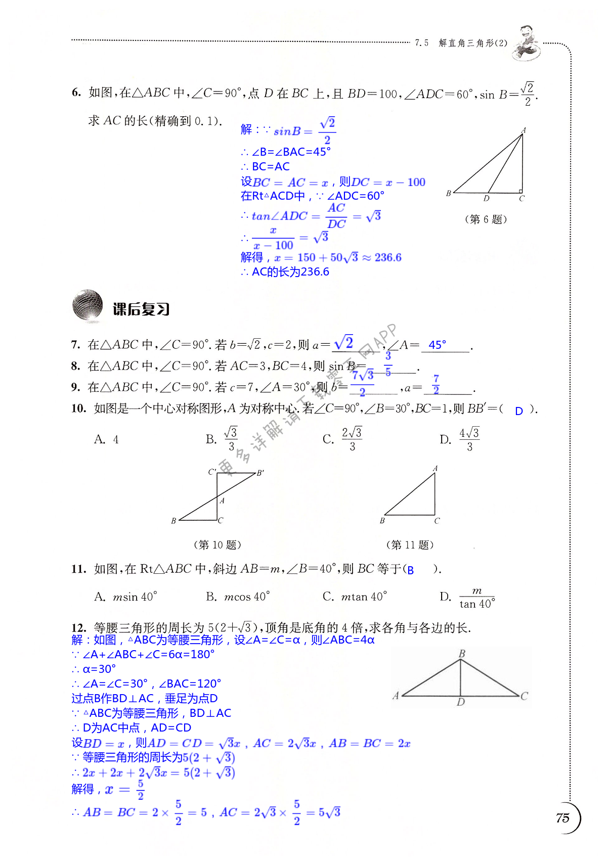 第7章 锐角三角函数 - 第75页