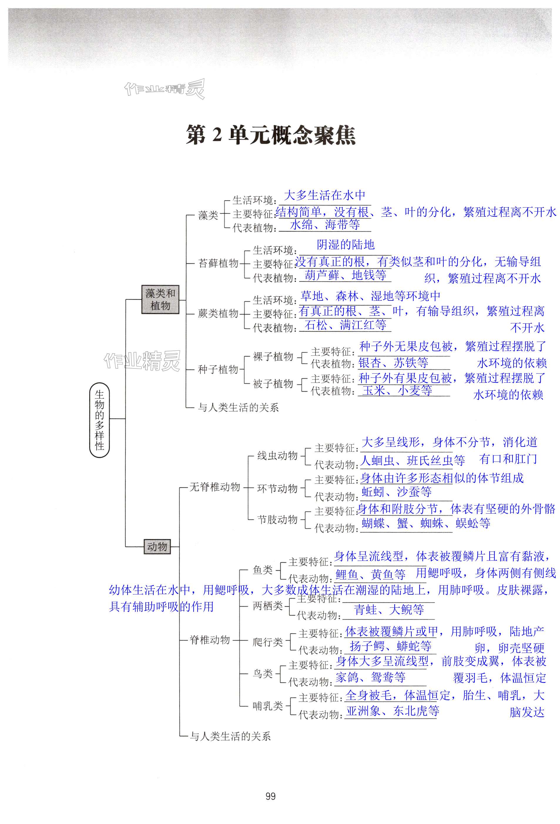 第99页