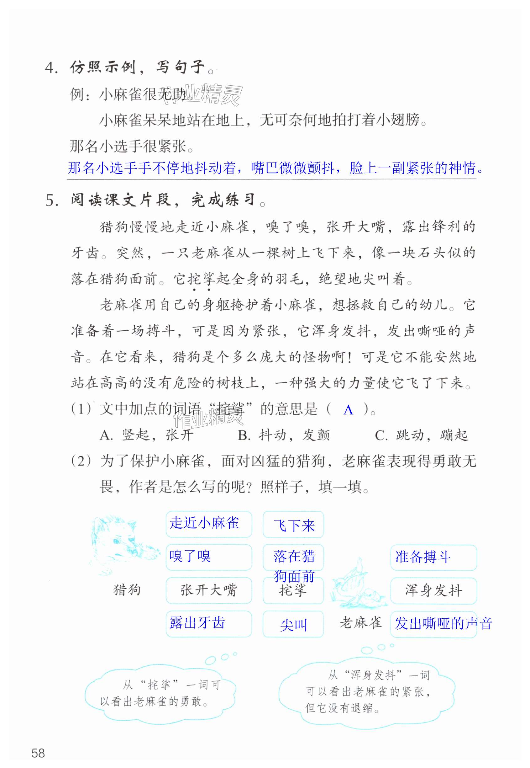 第58页