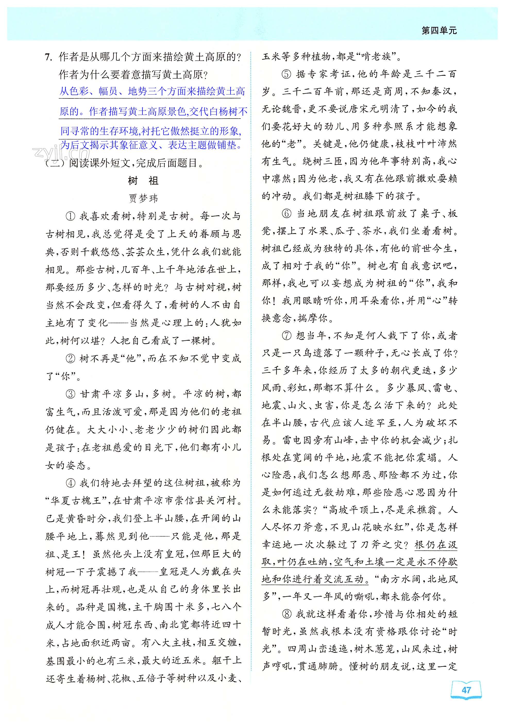 15 白杨礼赞 - 第47页