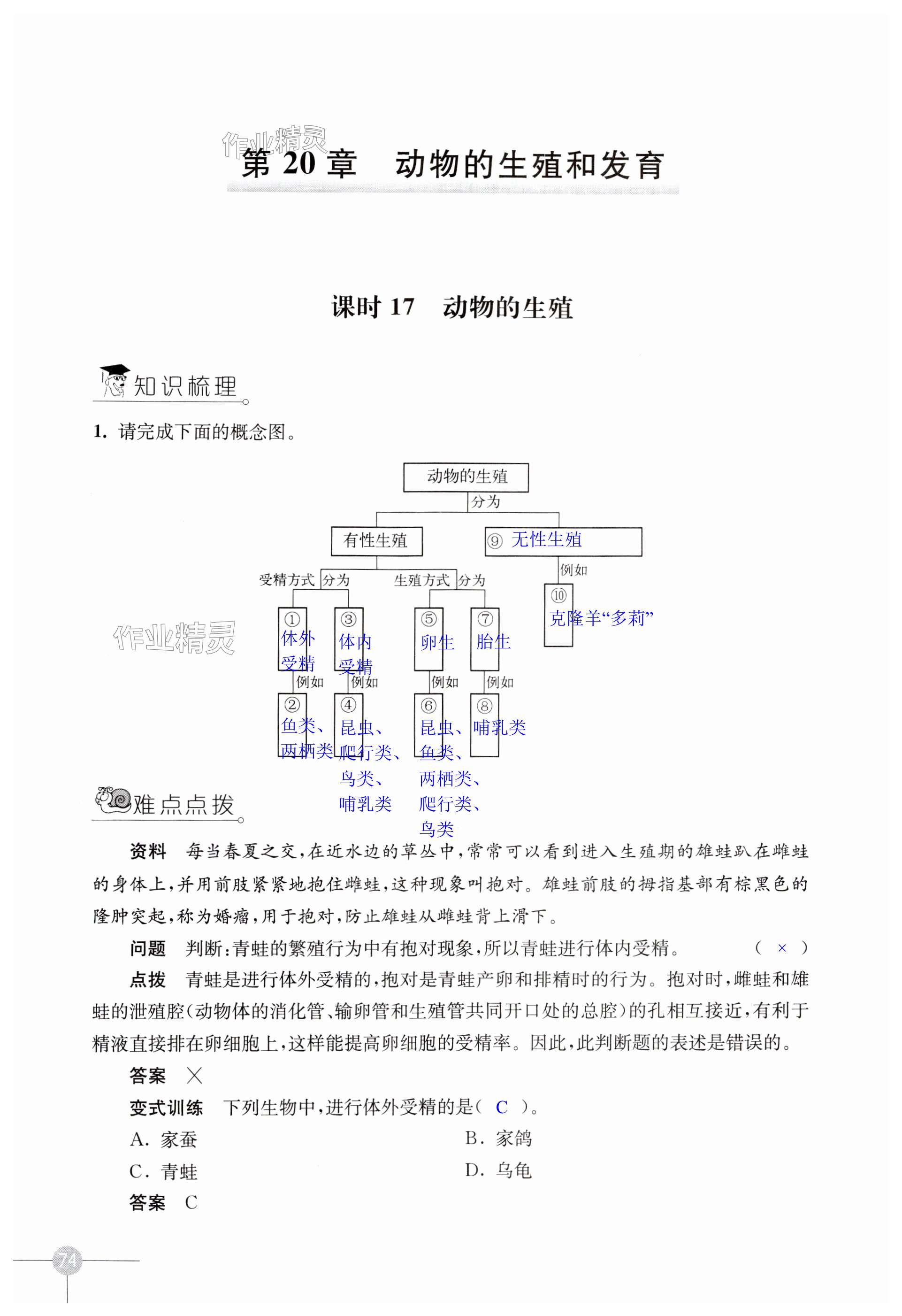 第74页