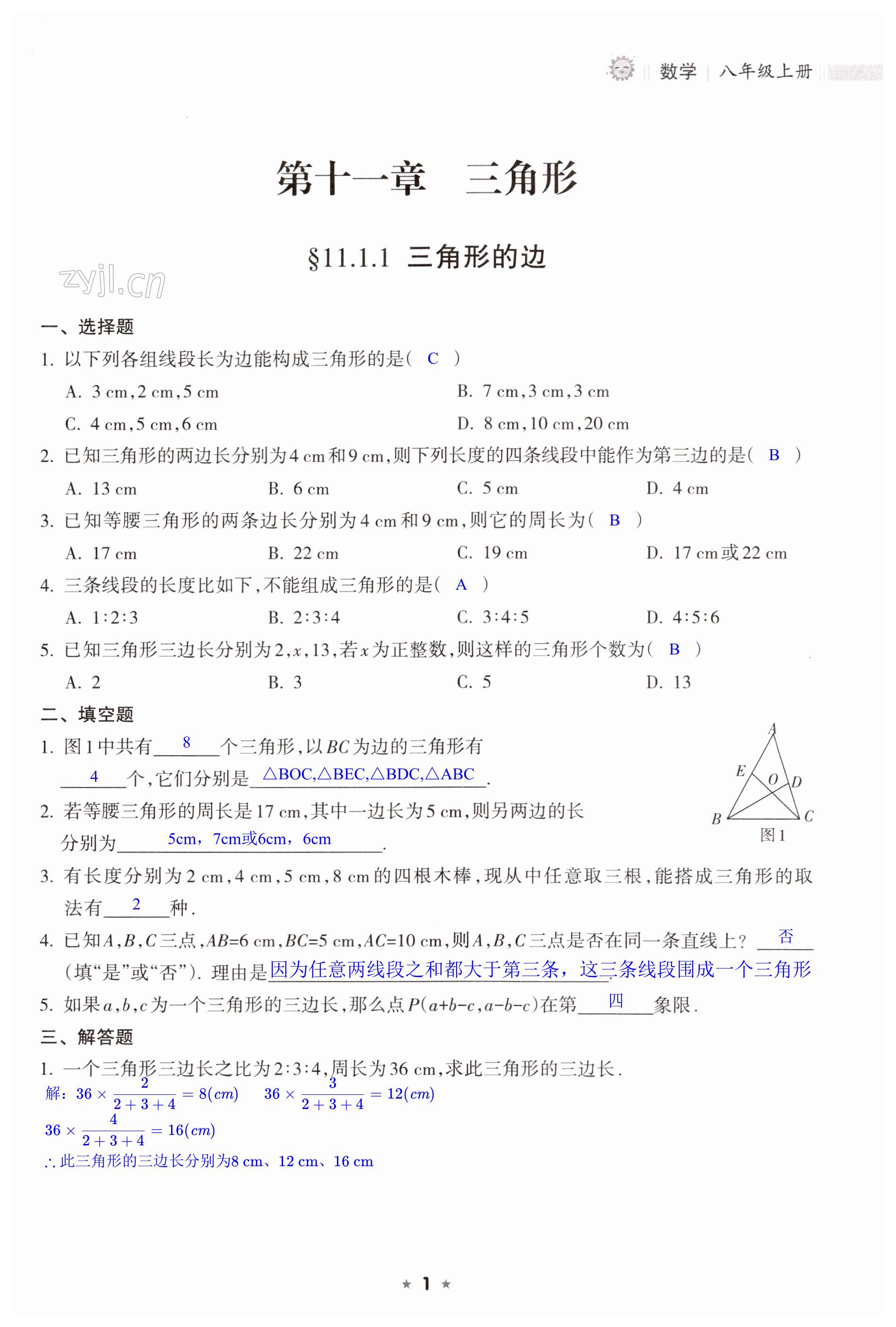 2023年新课程课堂同步练习册八年级数学上册人教版 第1页