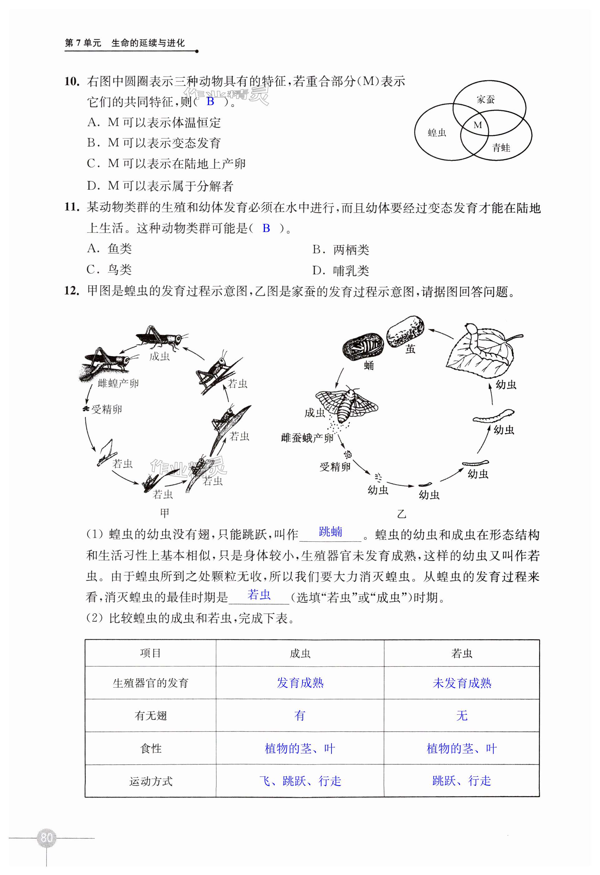 第80页