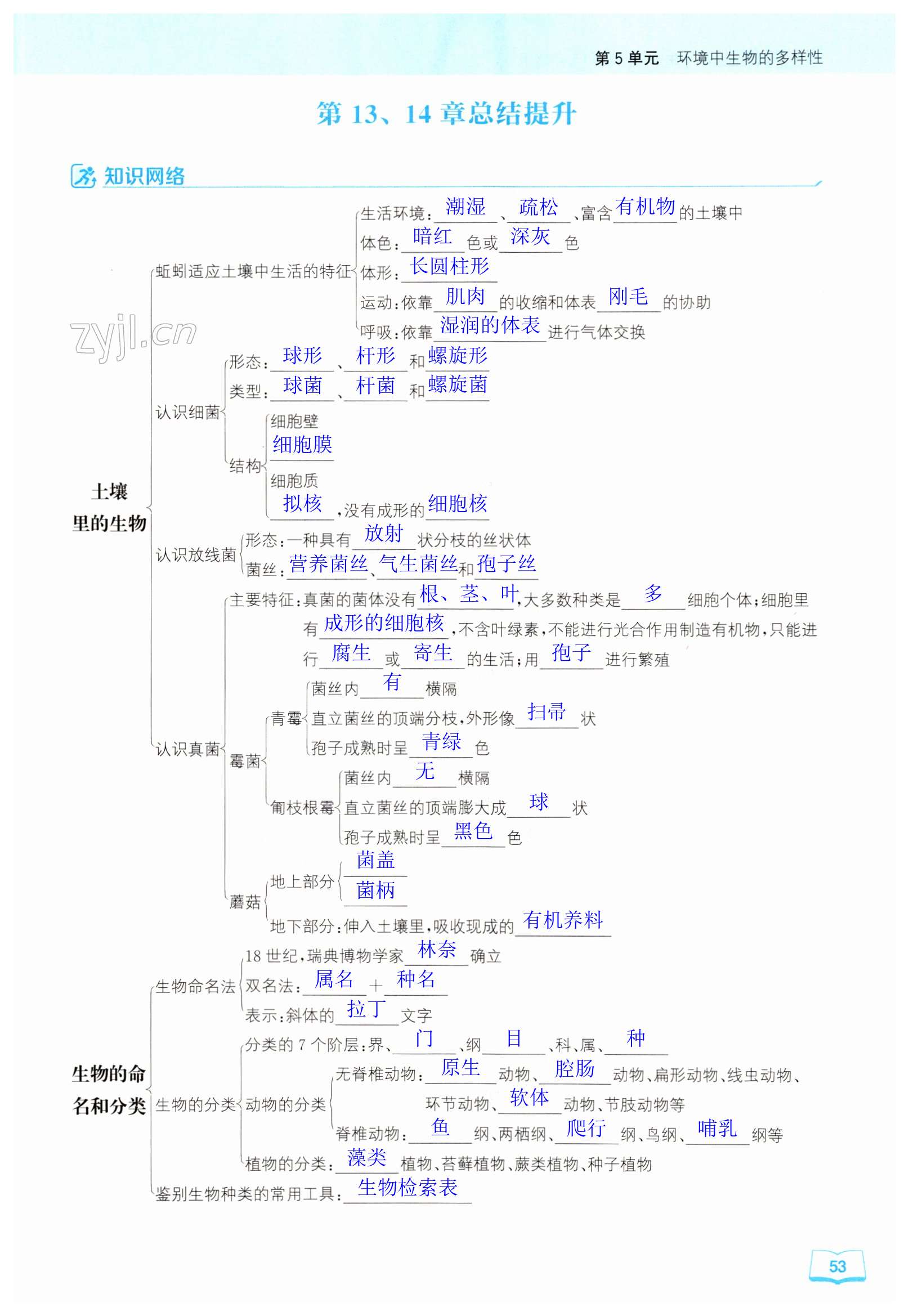 第53页