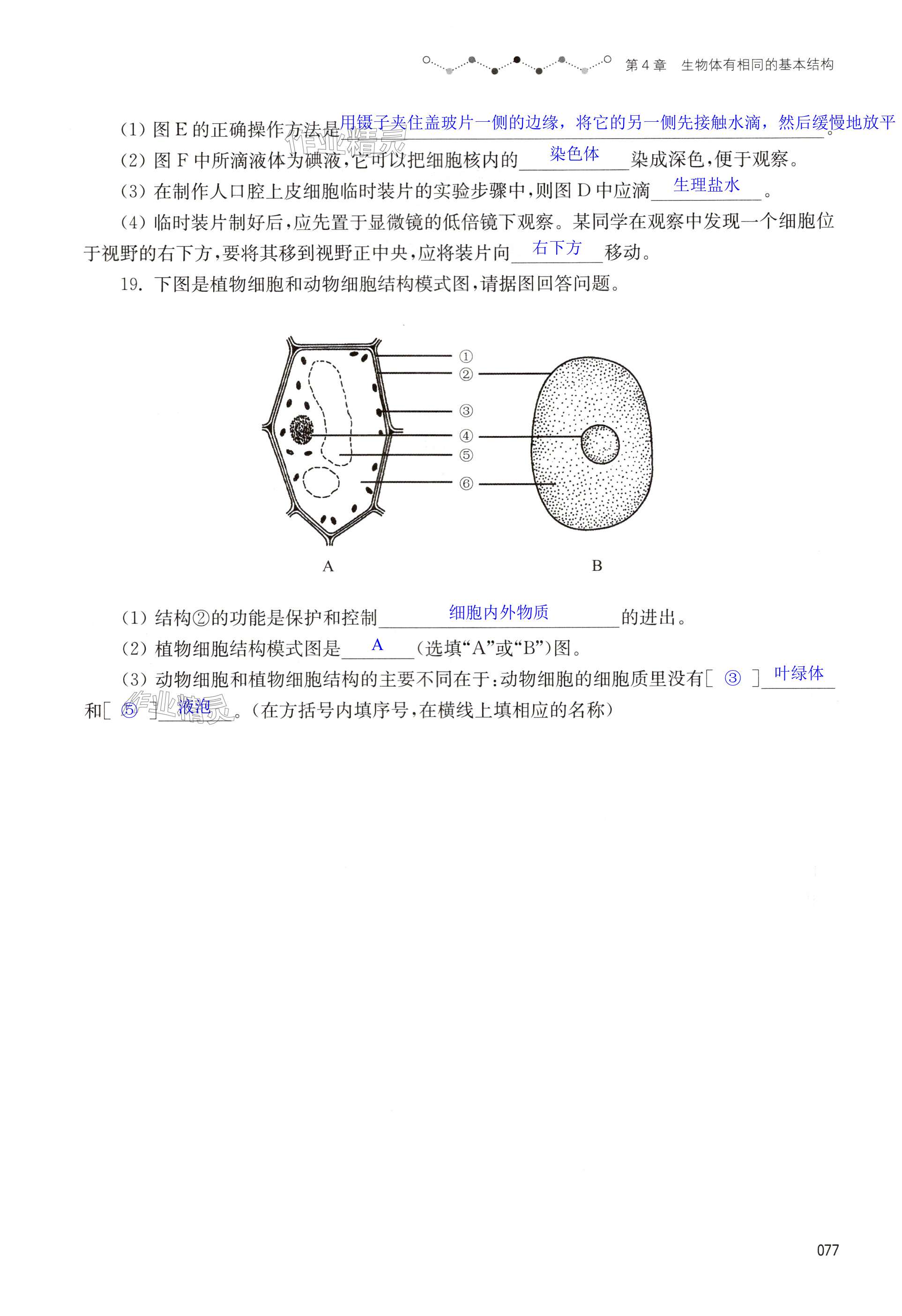 第77页