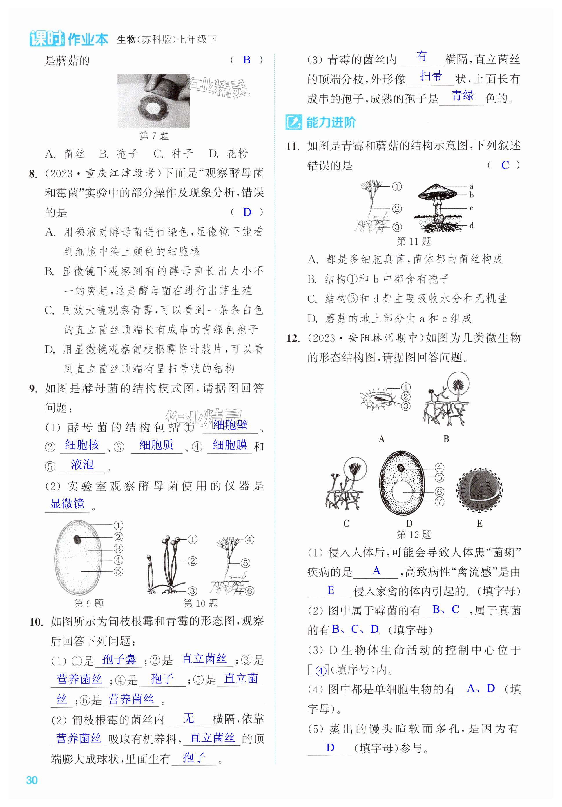 第30页