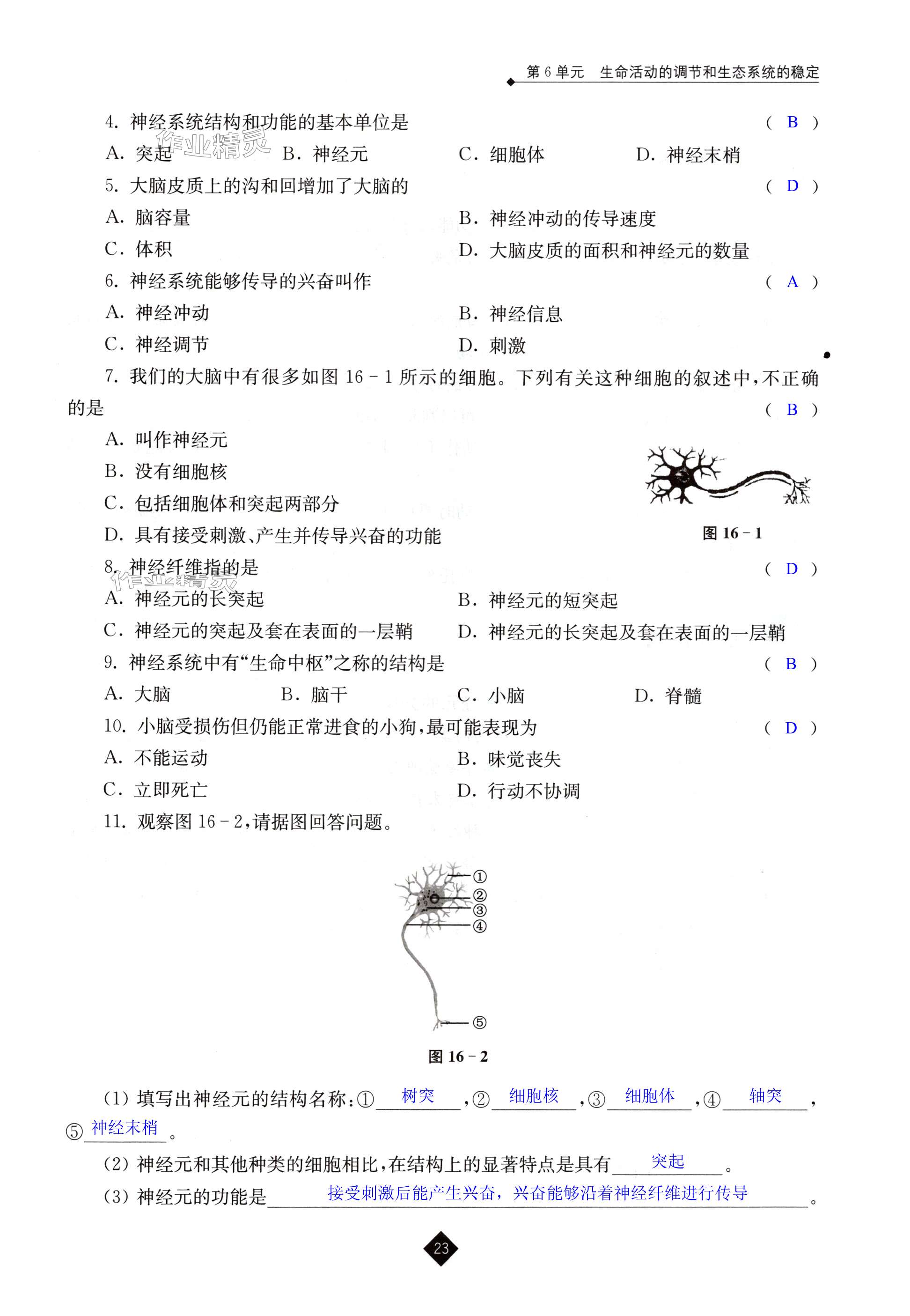 第23页