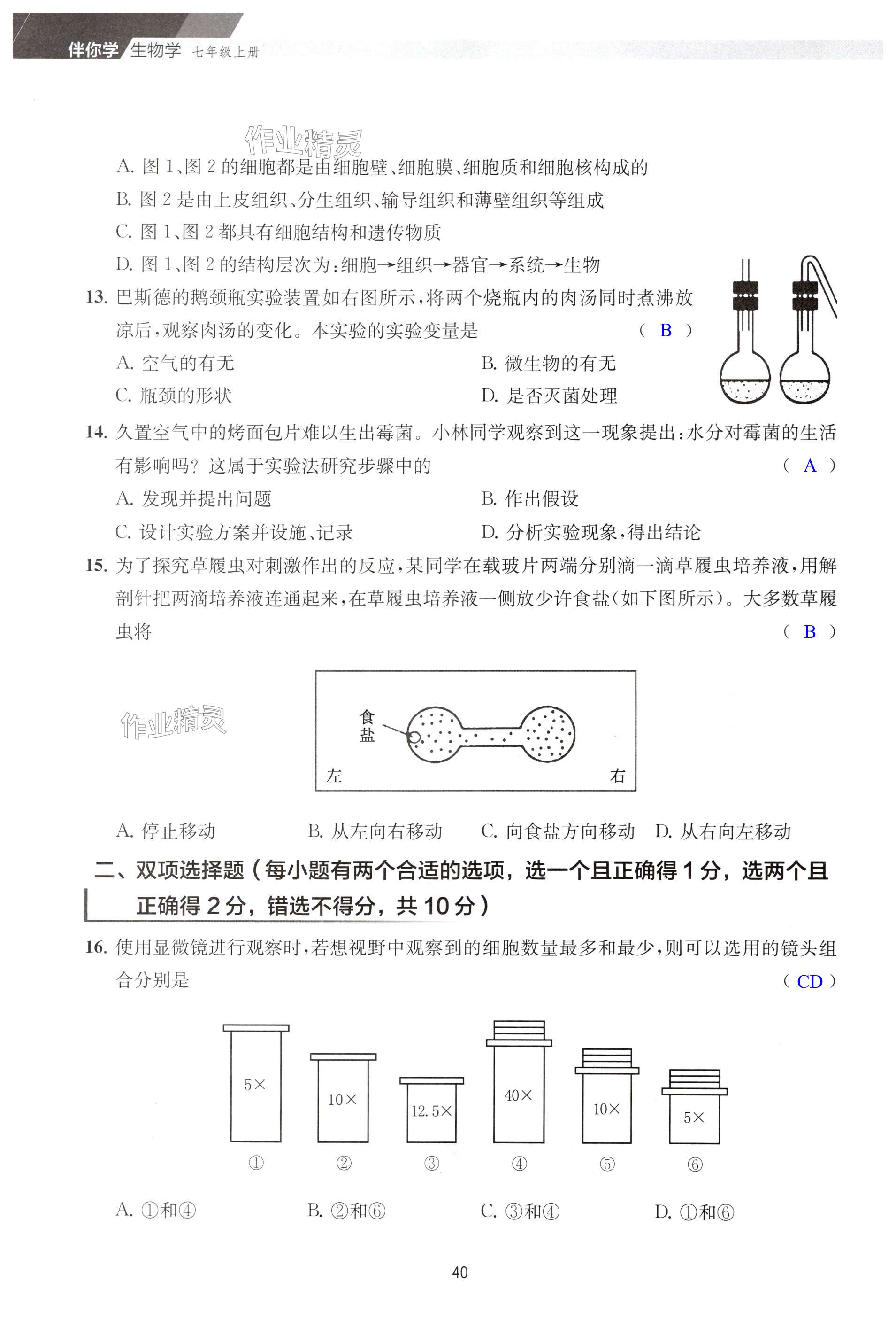 第40页