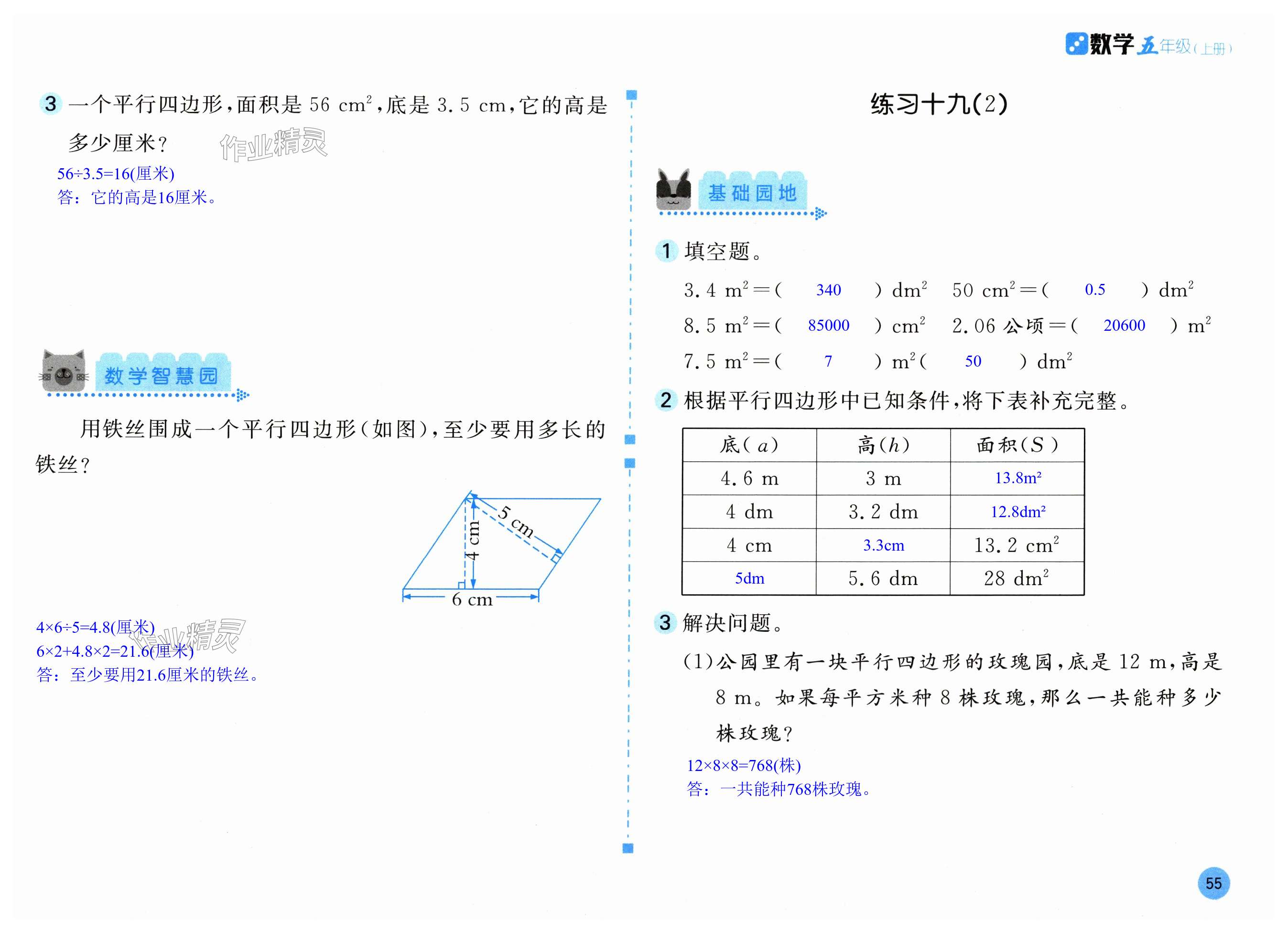 第55页