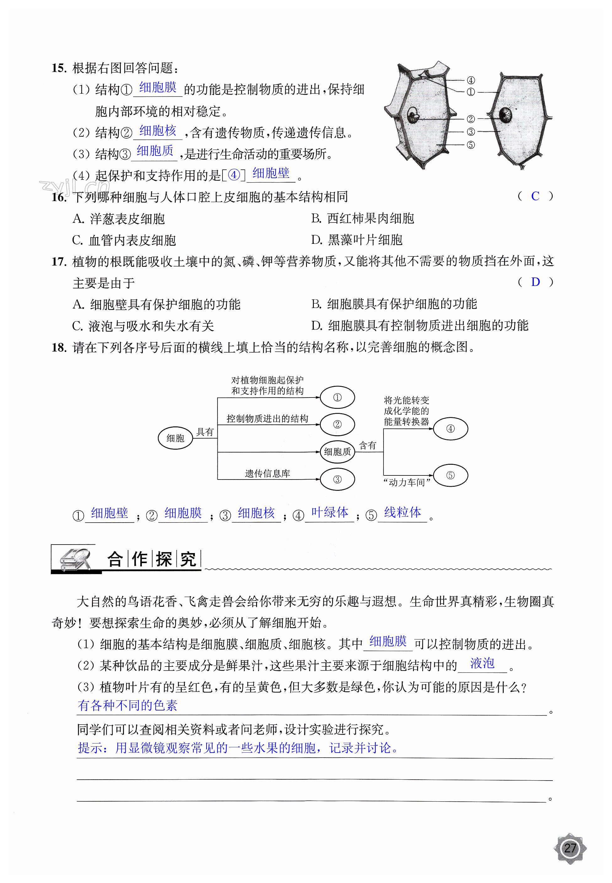 第27页