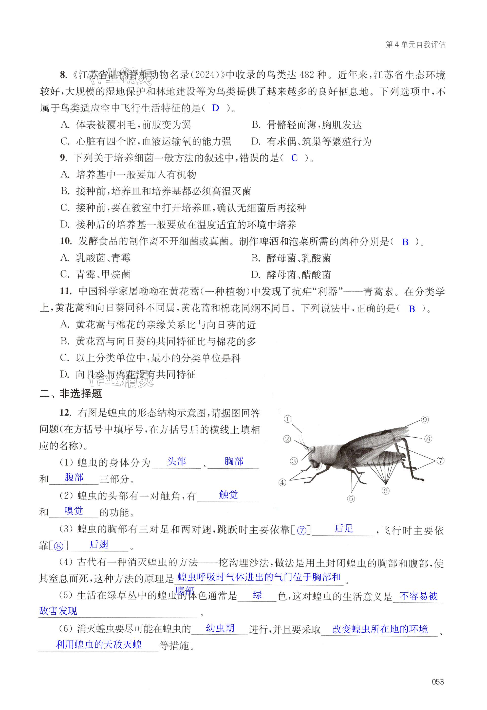 第53页