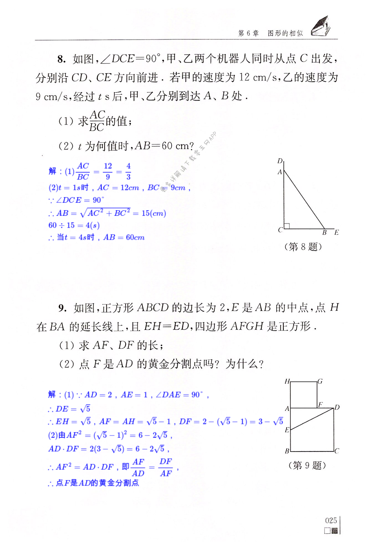 第6章   图形的相似 - 第25页