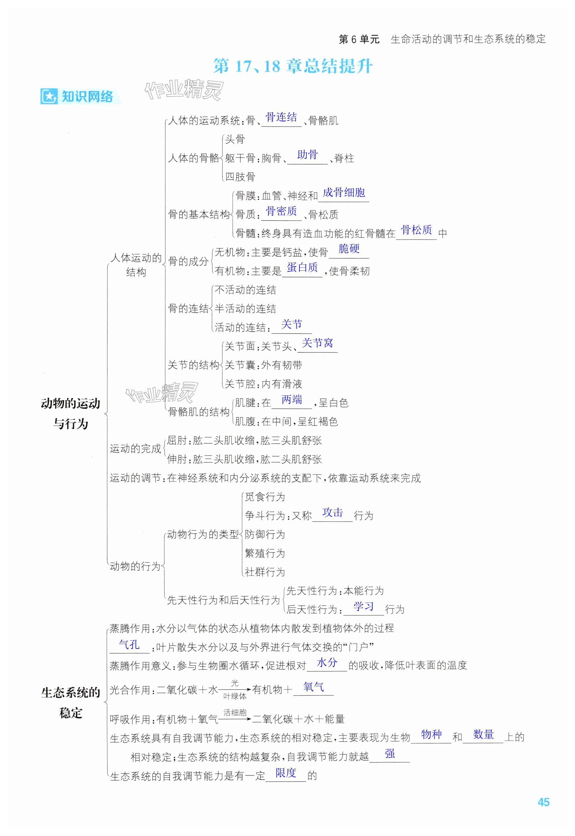 第45页