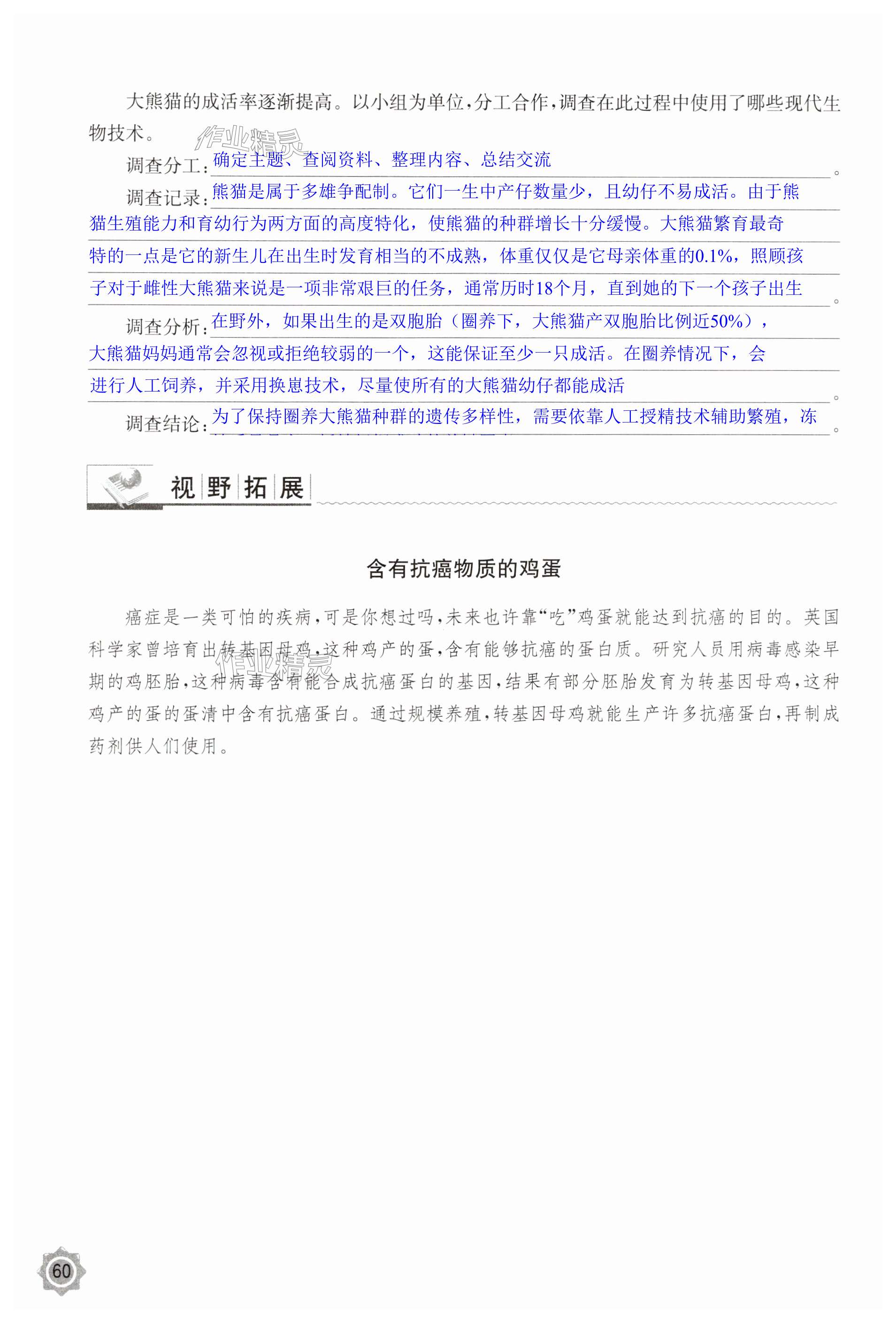 第60页
