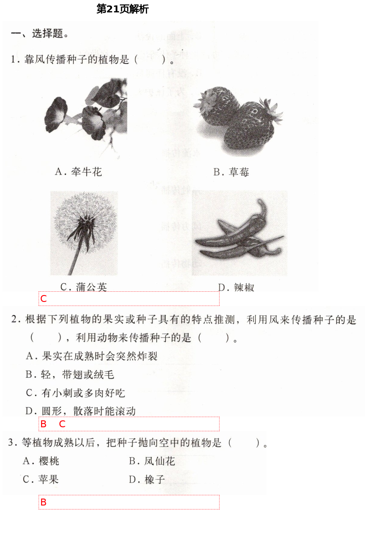 2021年新思維伴你學四年級科學下冊教科版 第21頁