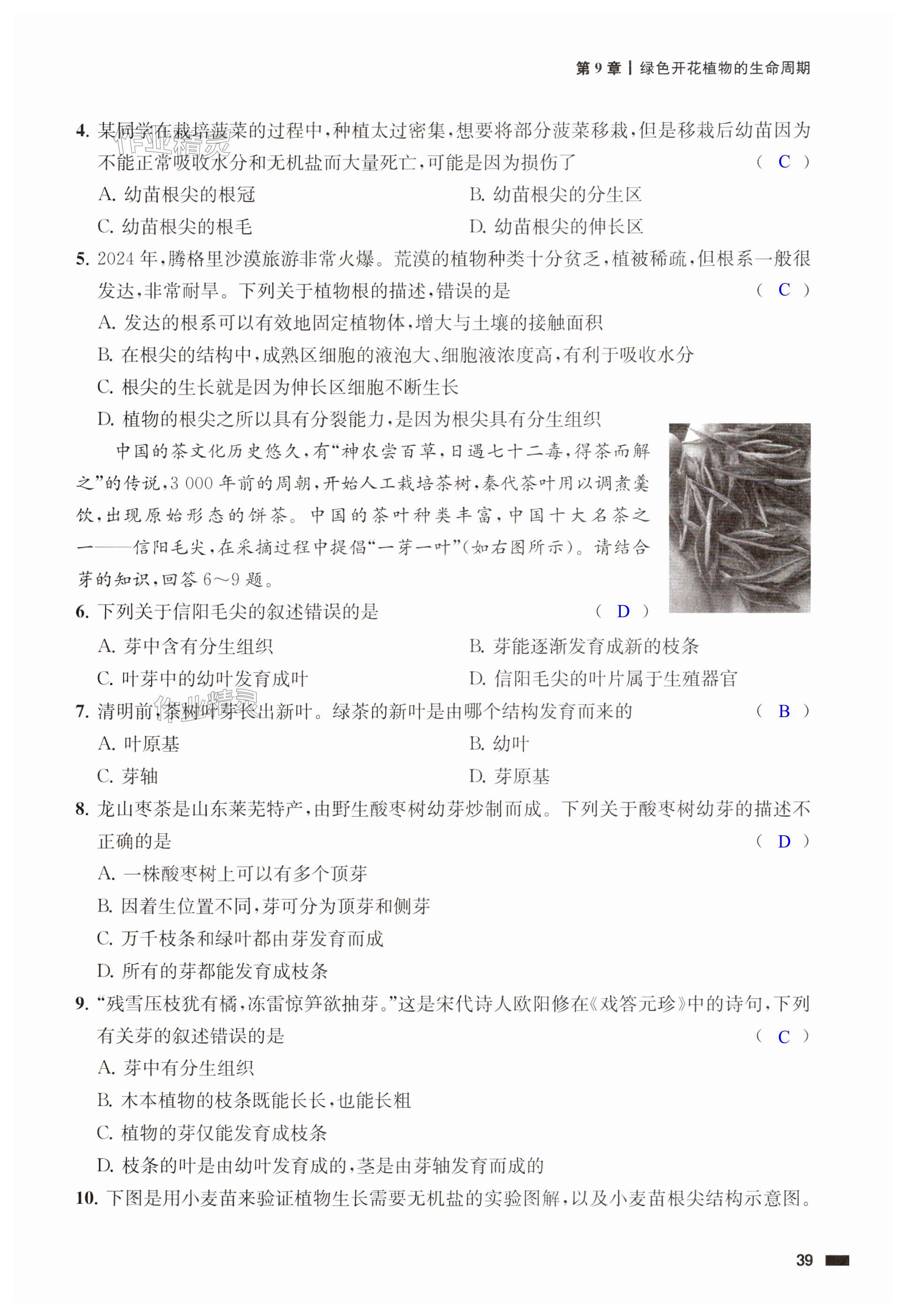 第39页