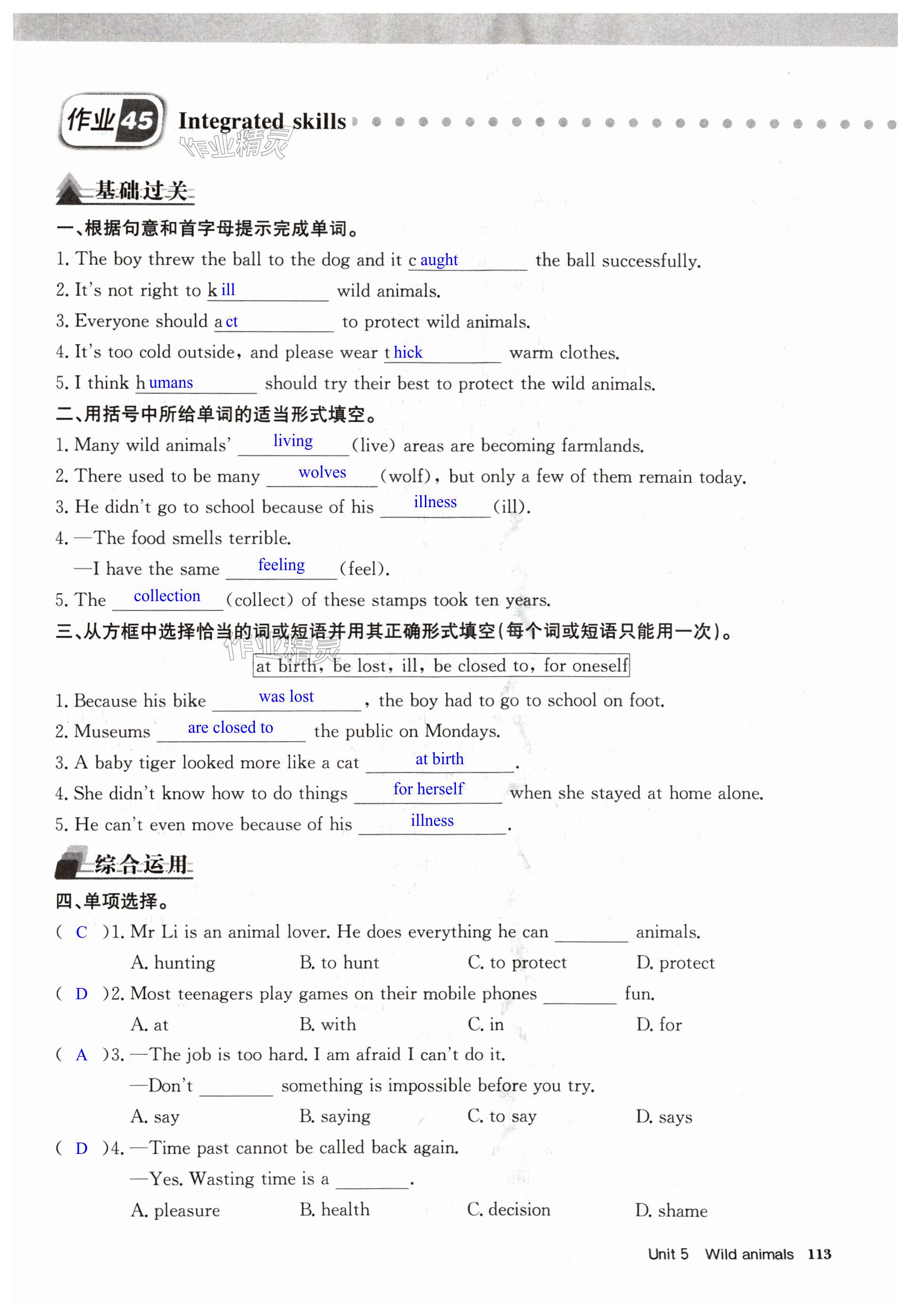 第113页