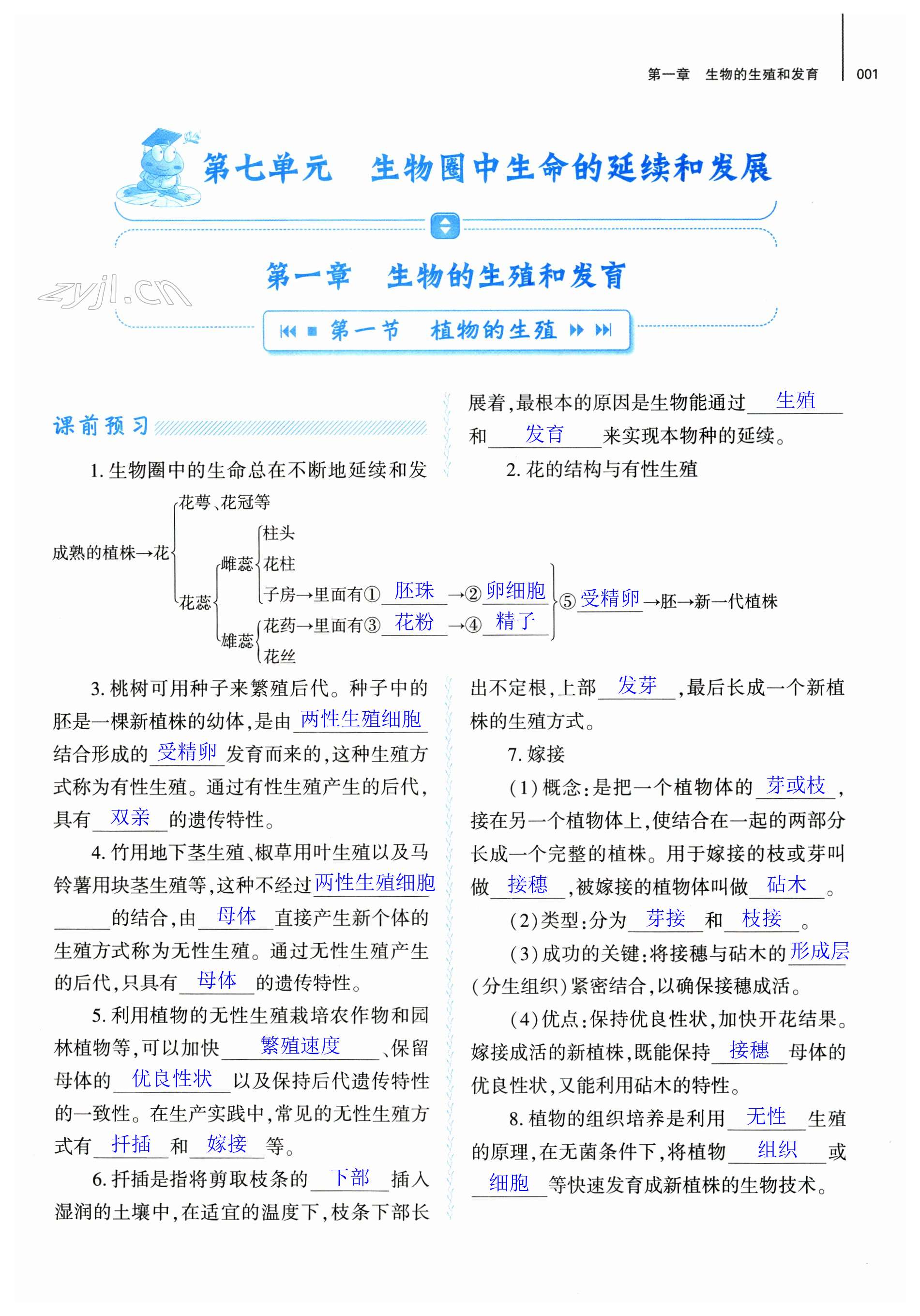 2023年基礎(chǔ)訓(xùn)練大象出版社八年級生物下冊人教版 第1頁