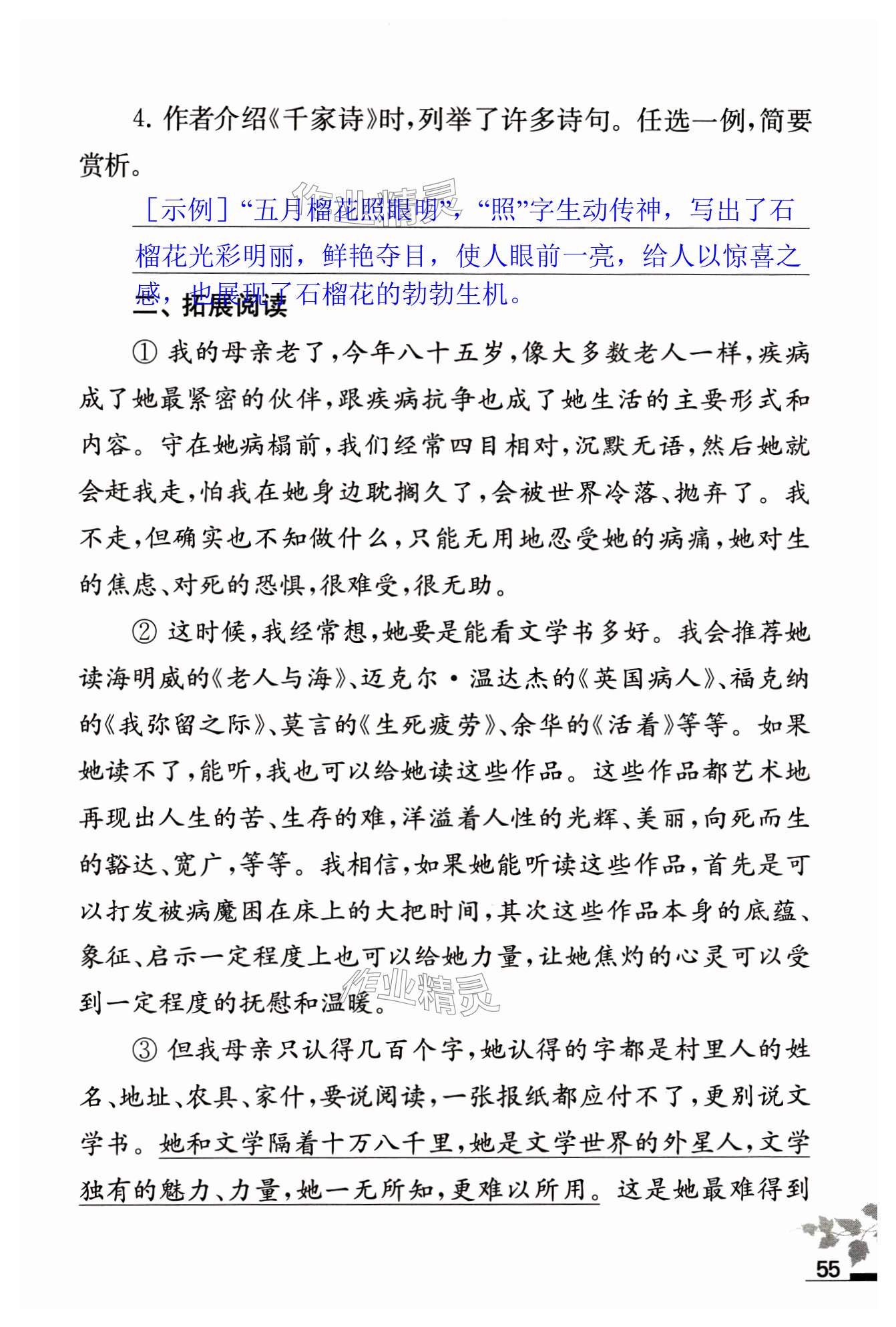 第55页
