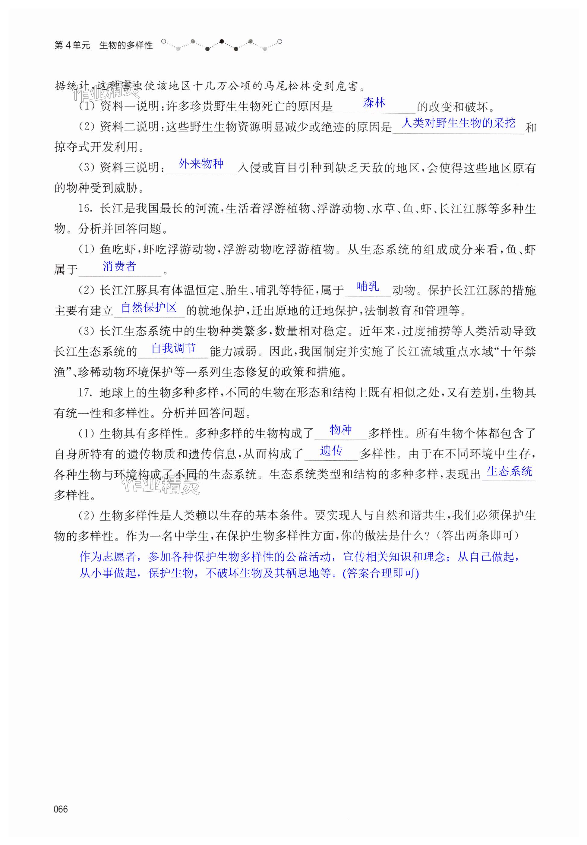 第66页
