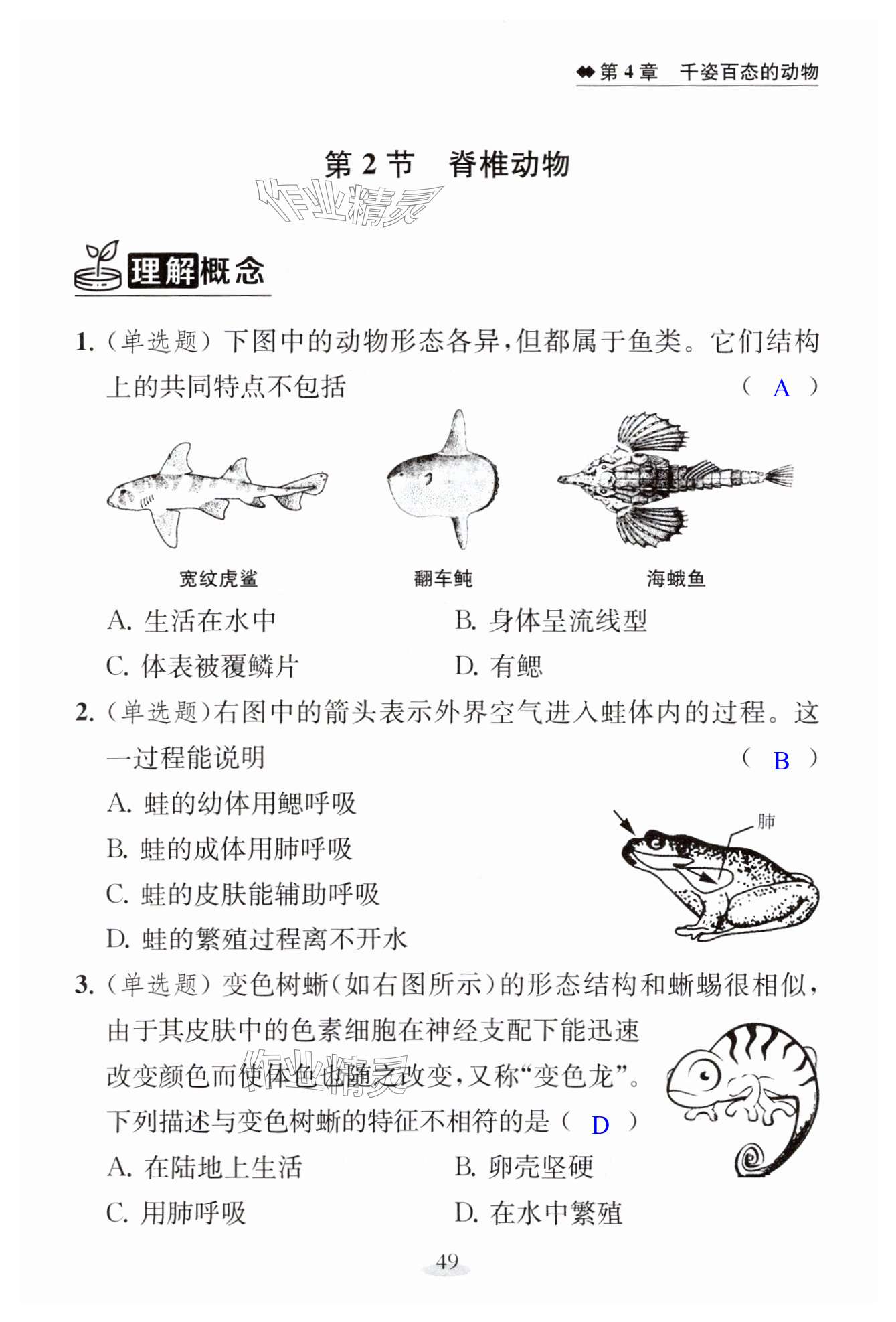 第49页