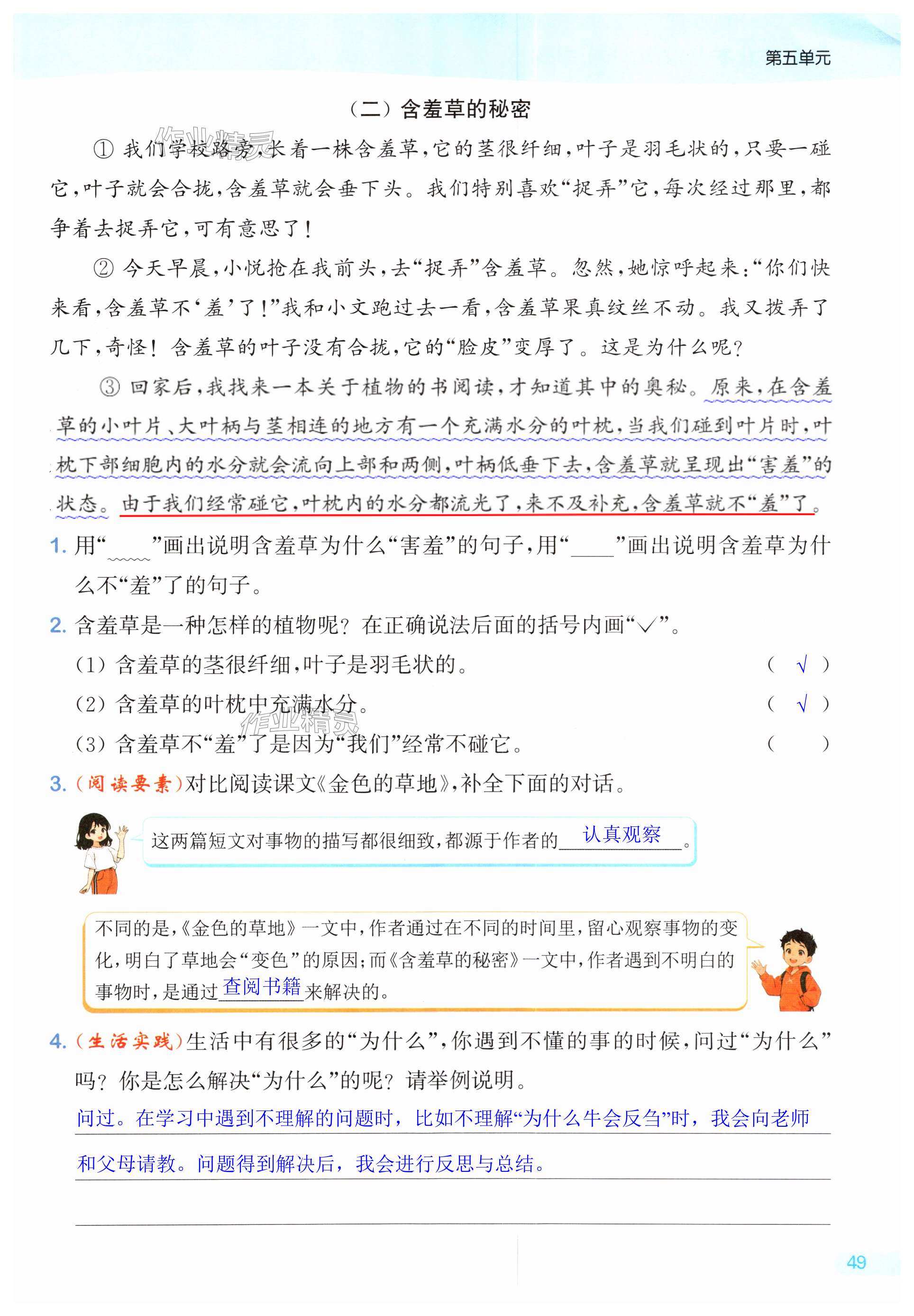 第49页