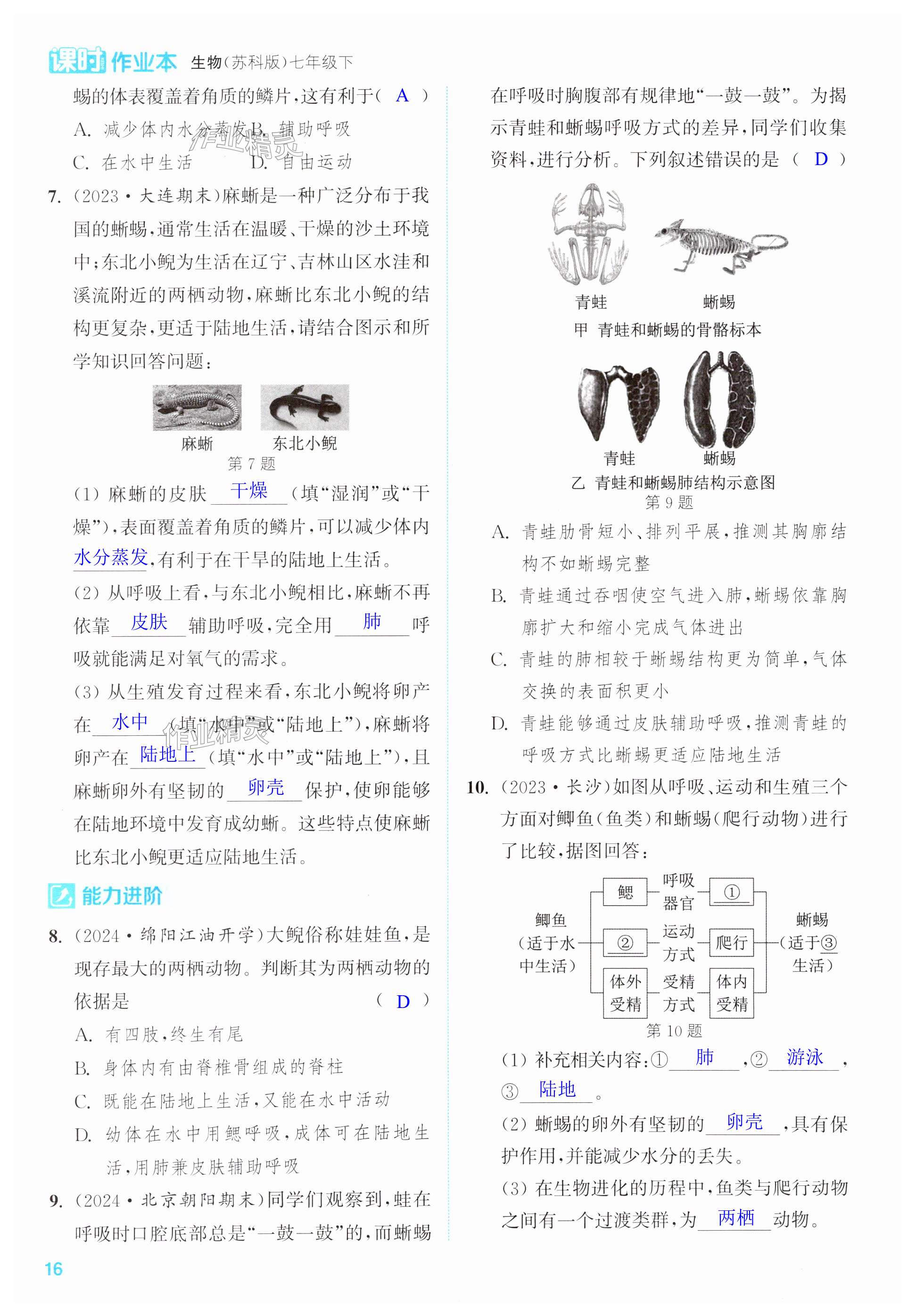 第16页