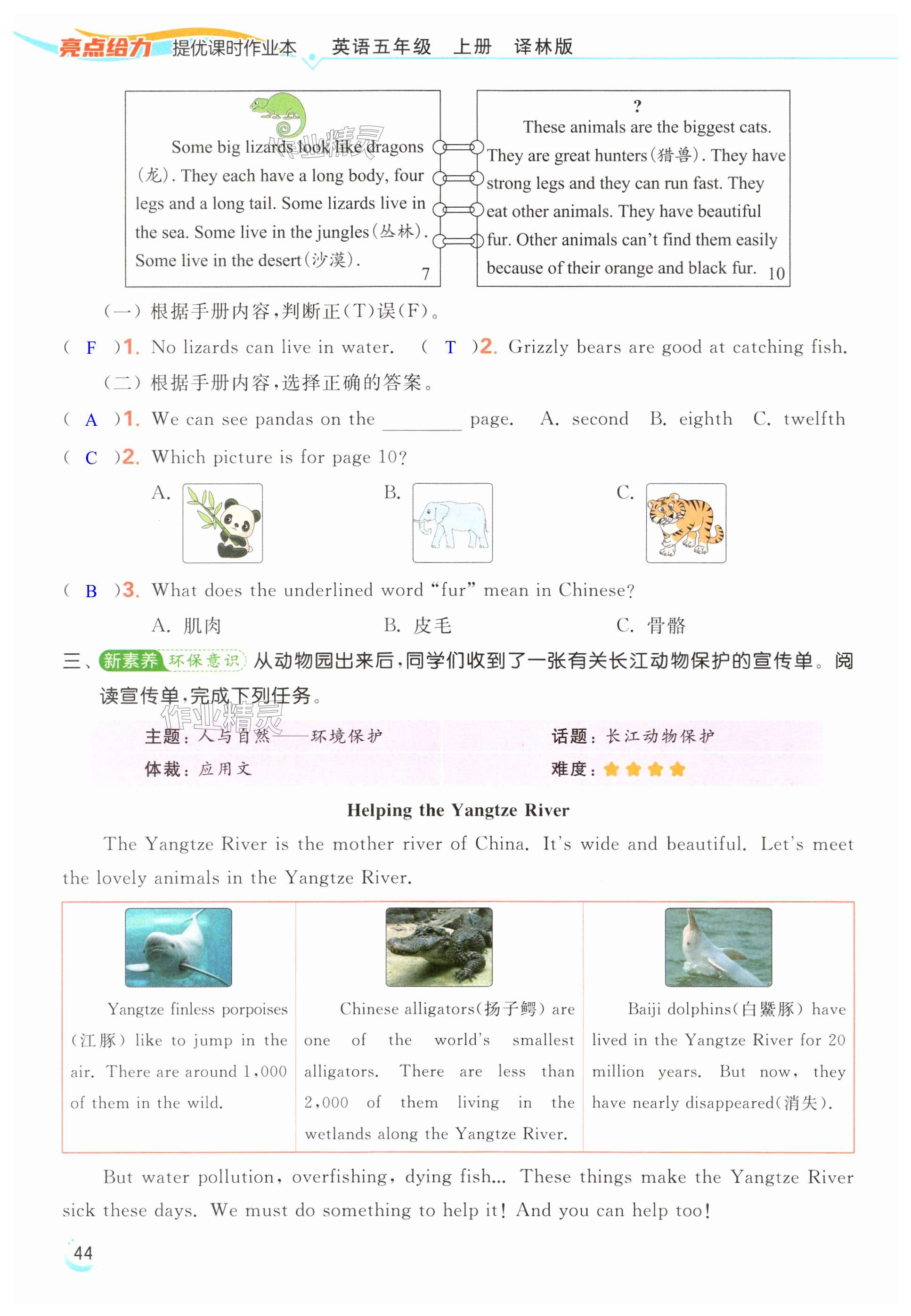 第44页