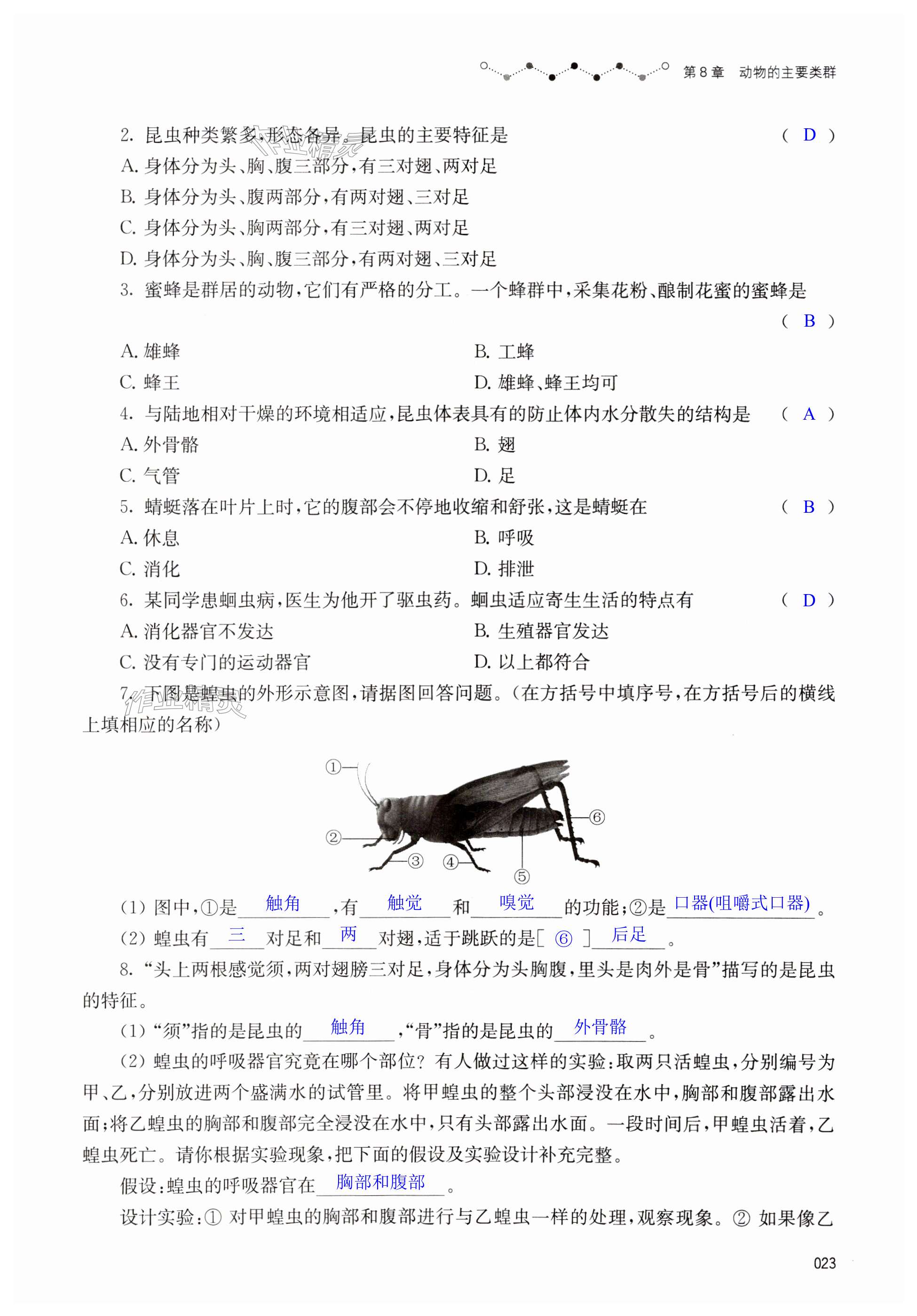 第23页