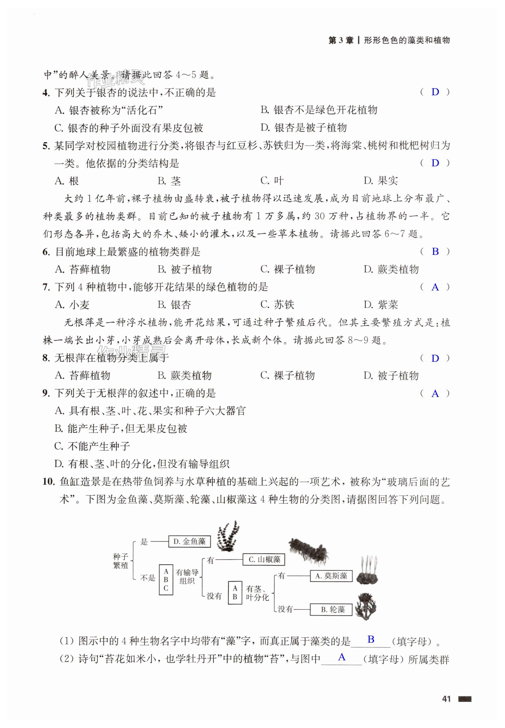 第41页