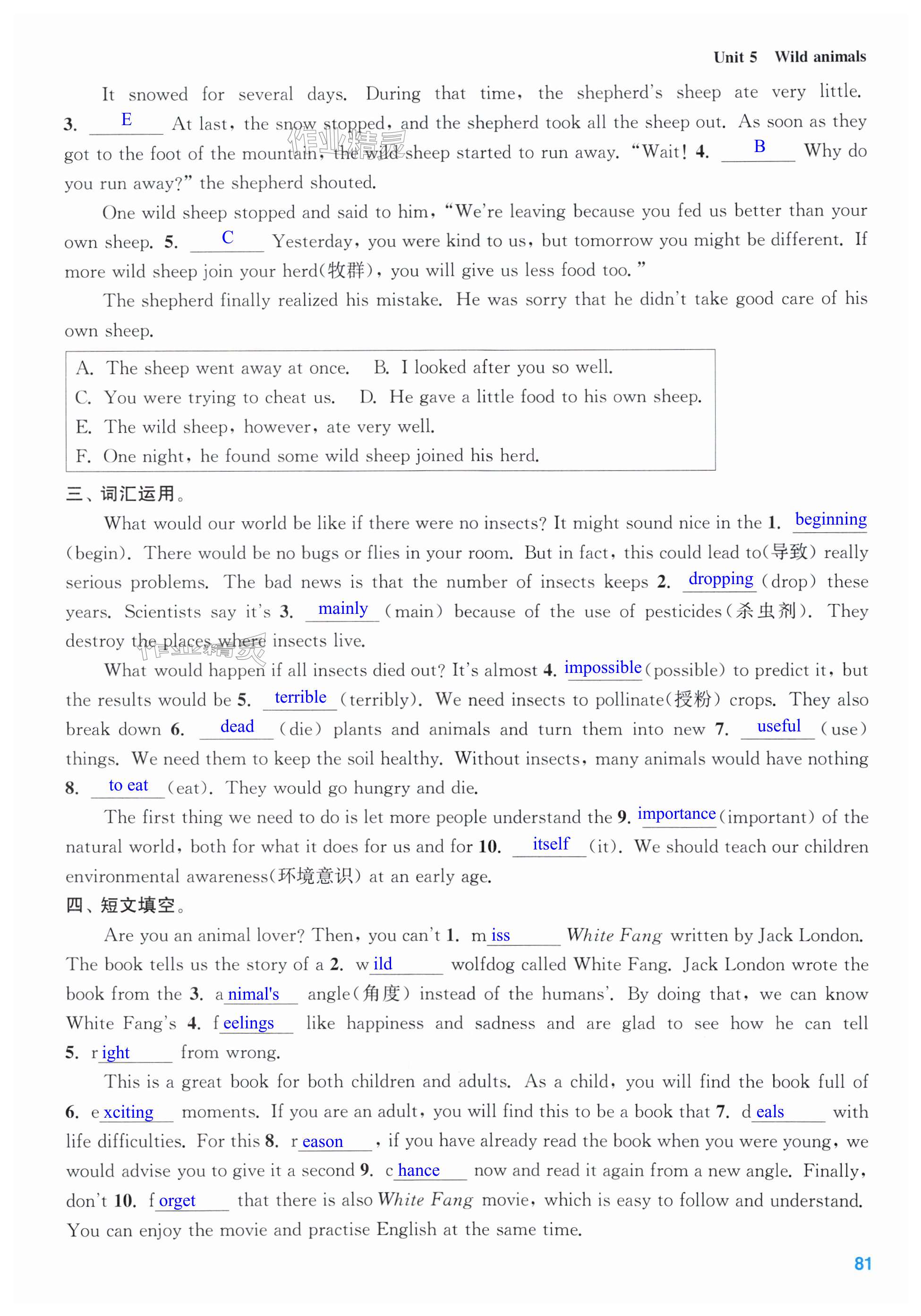 第81页