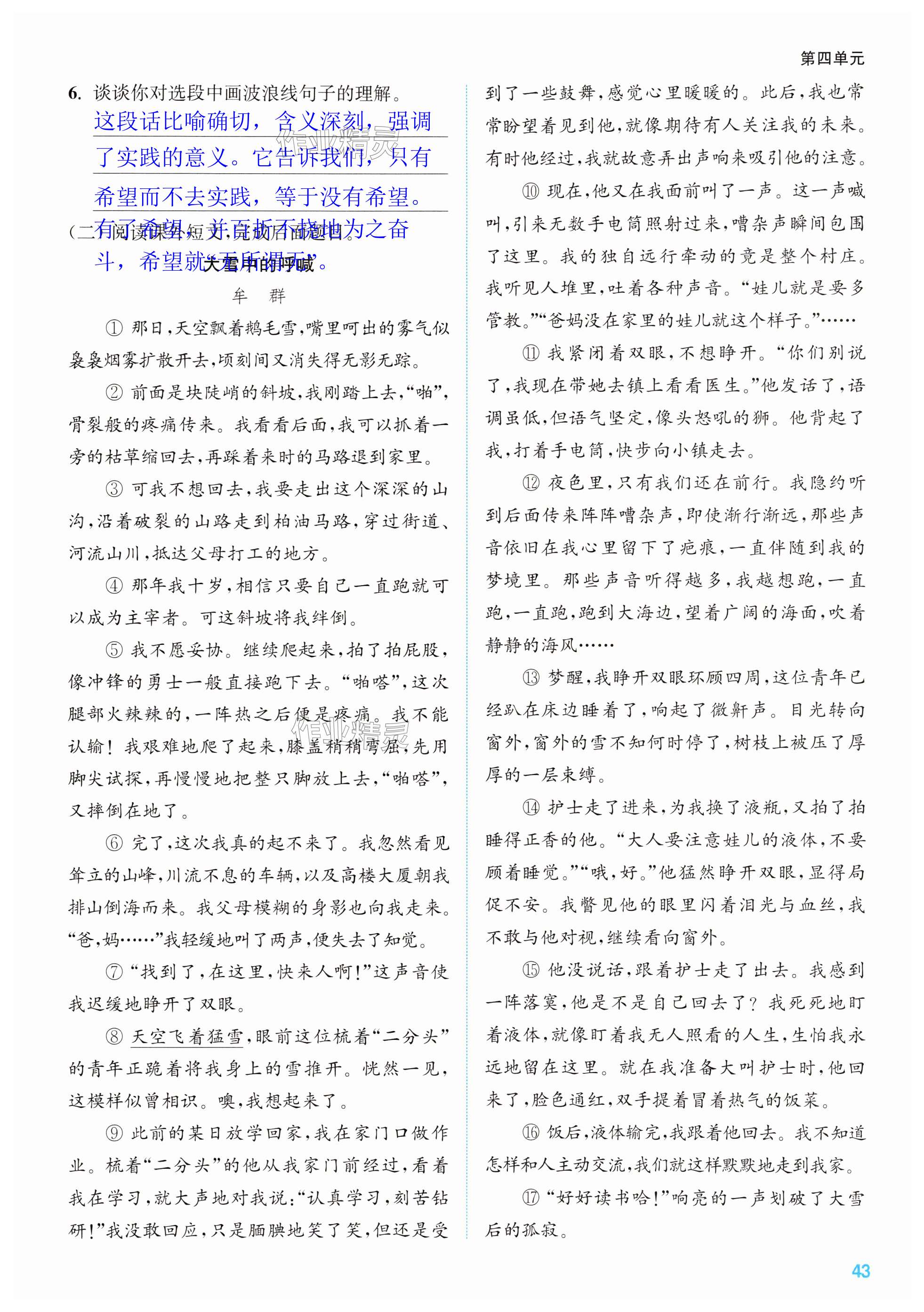 第43页