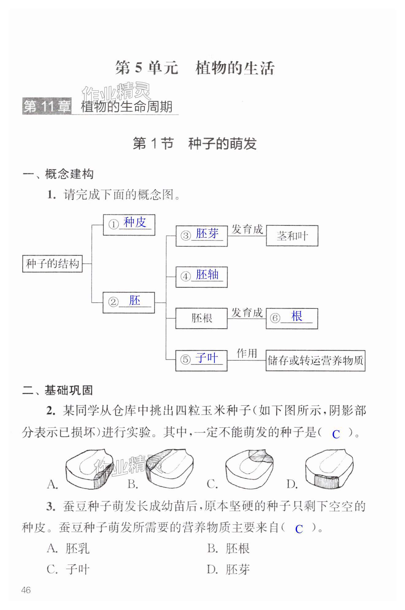 第46页