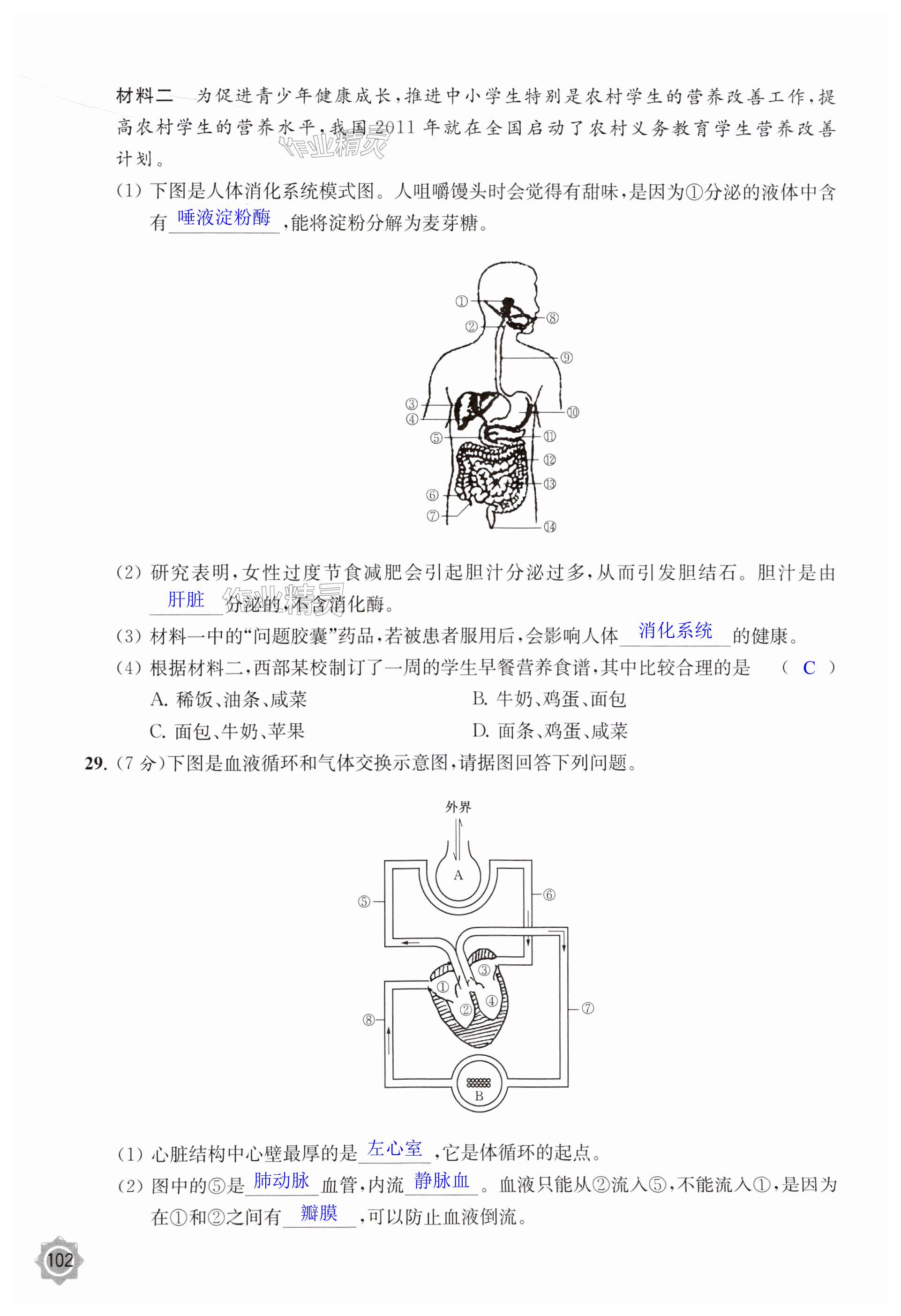 第102页