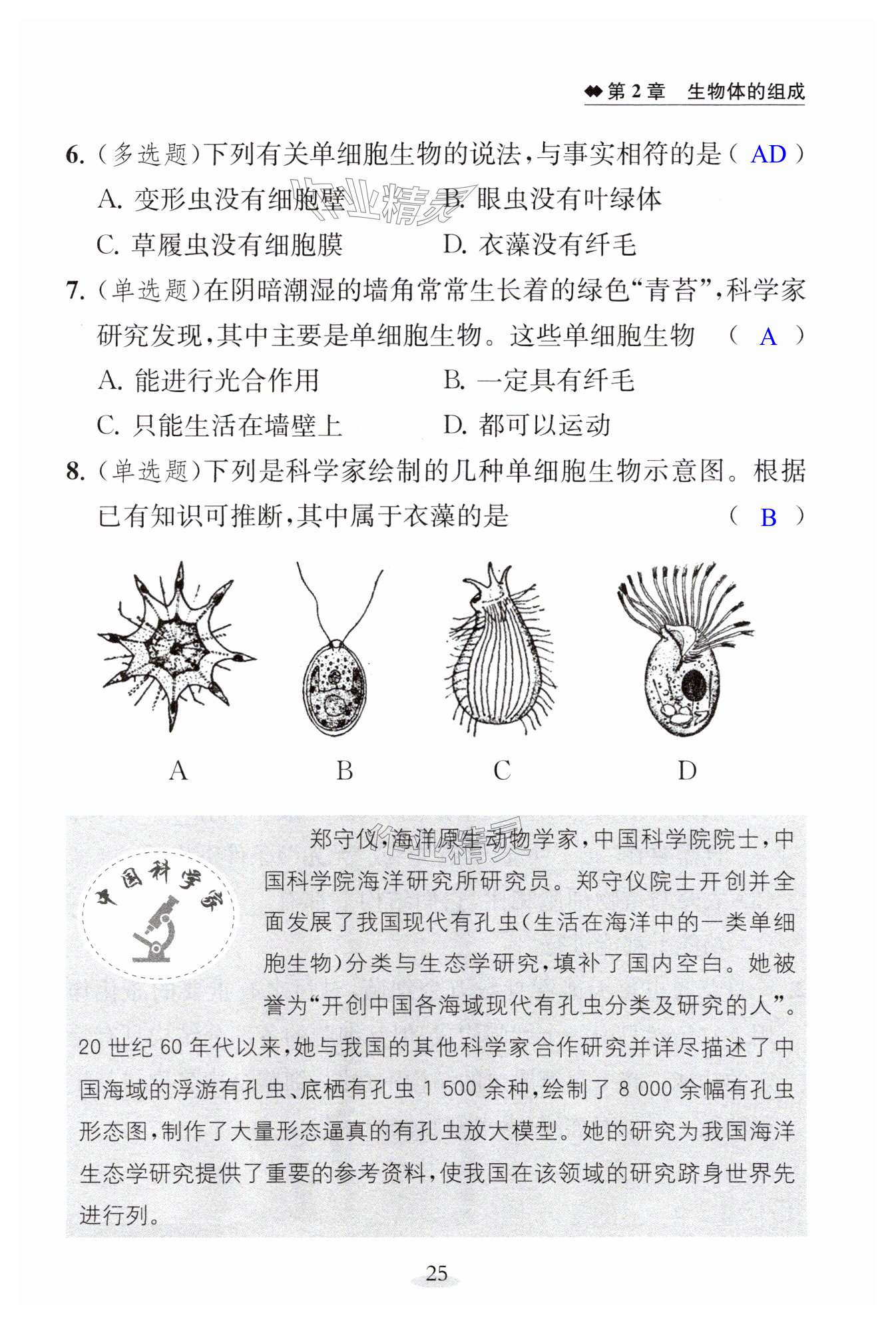 第25页