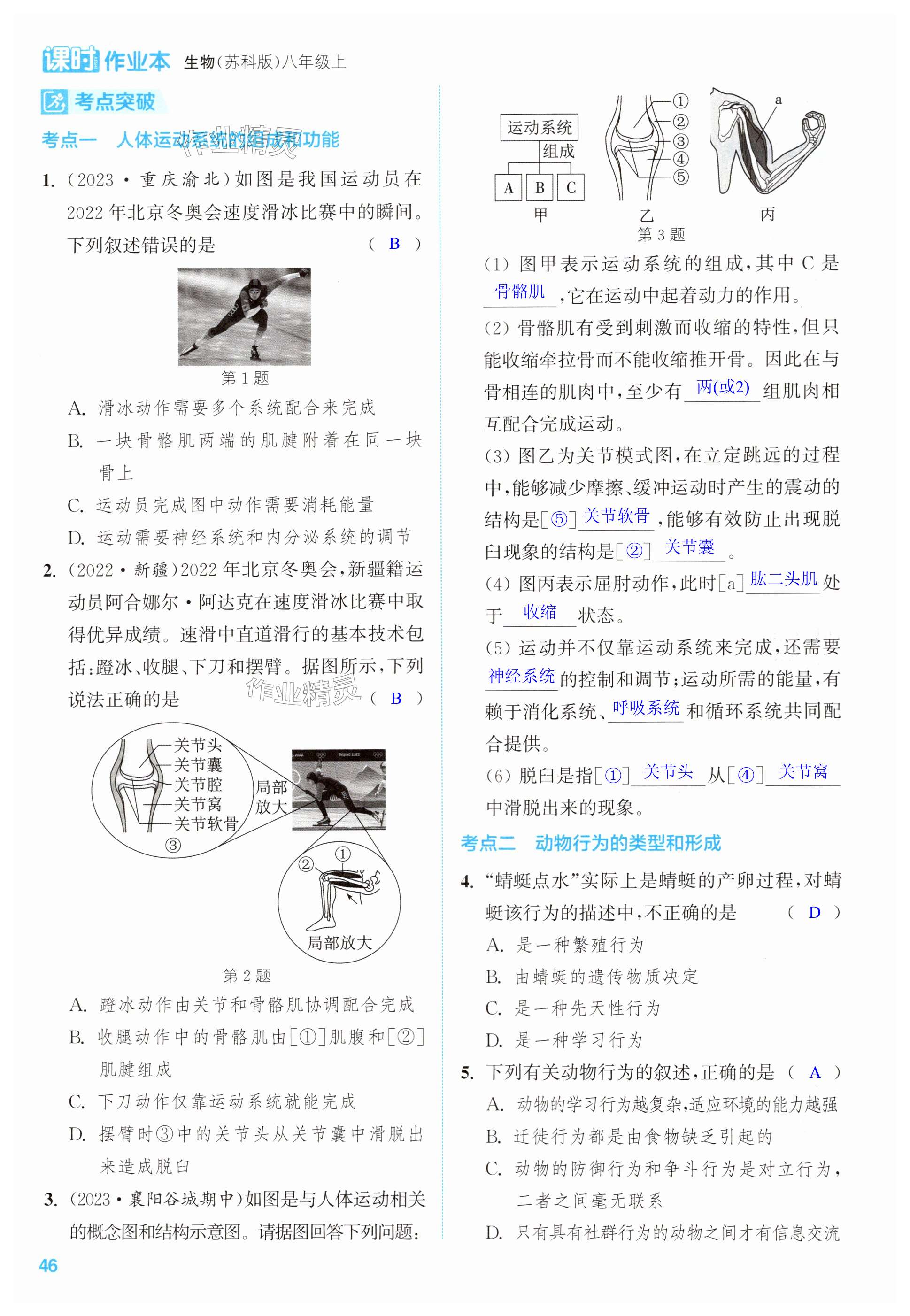 第46页