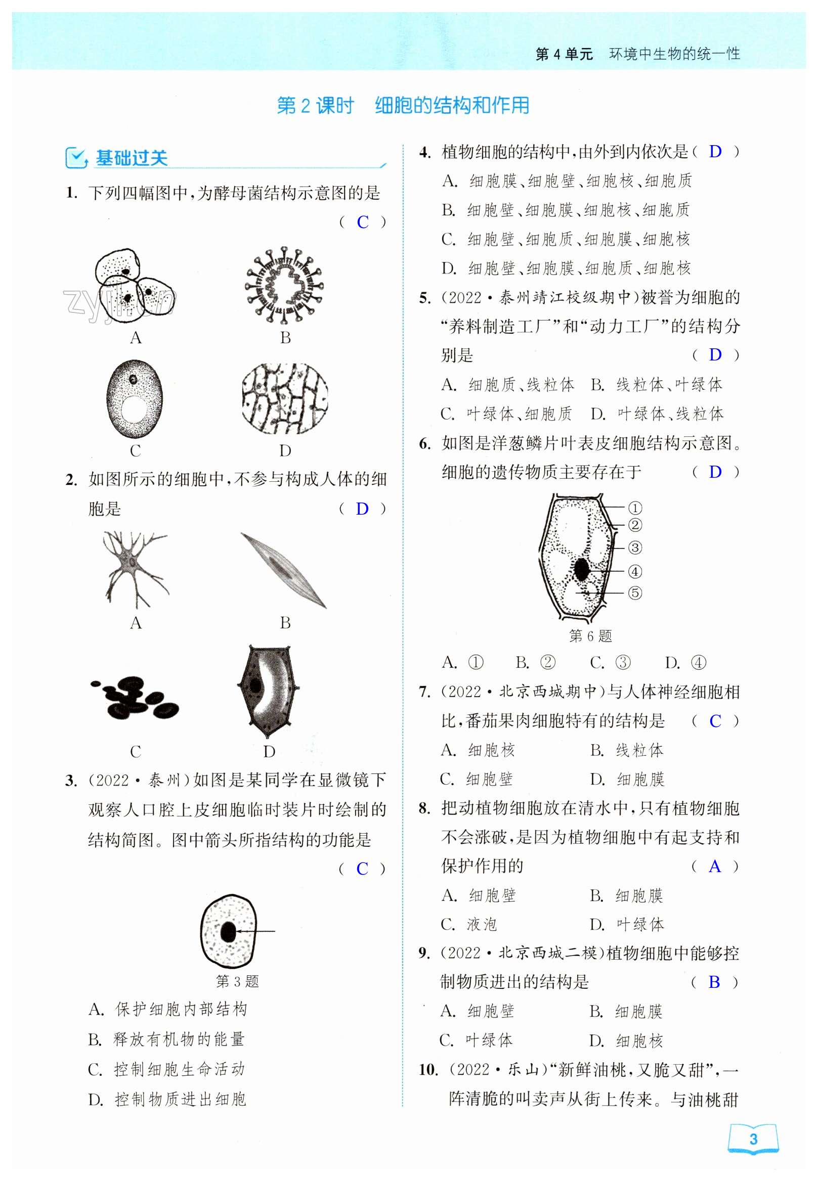 第3页